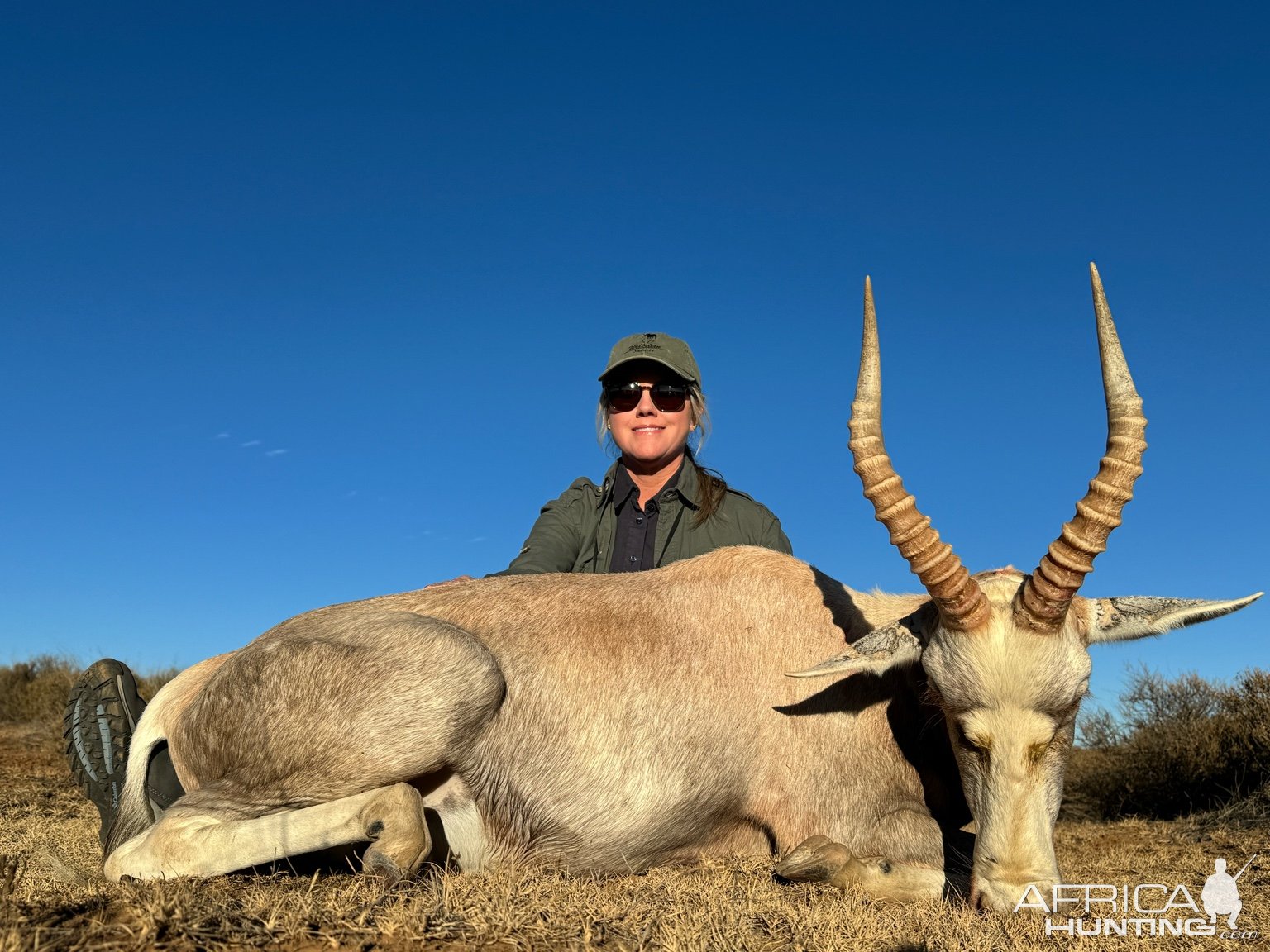 White Blesbok Hunt South Africa