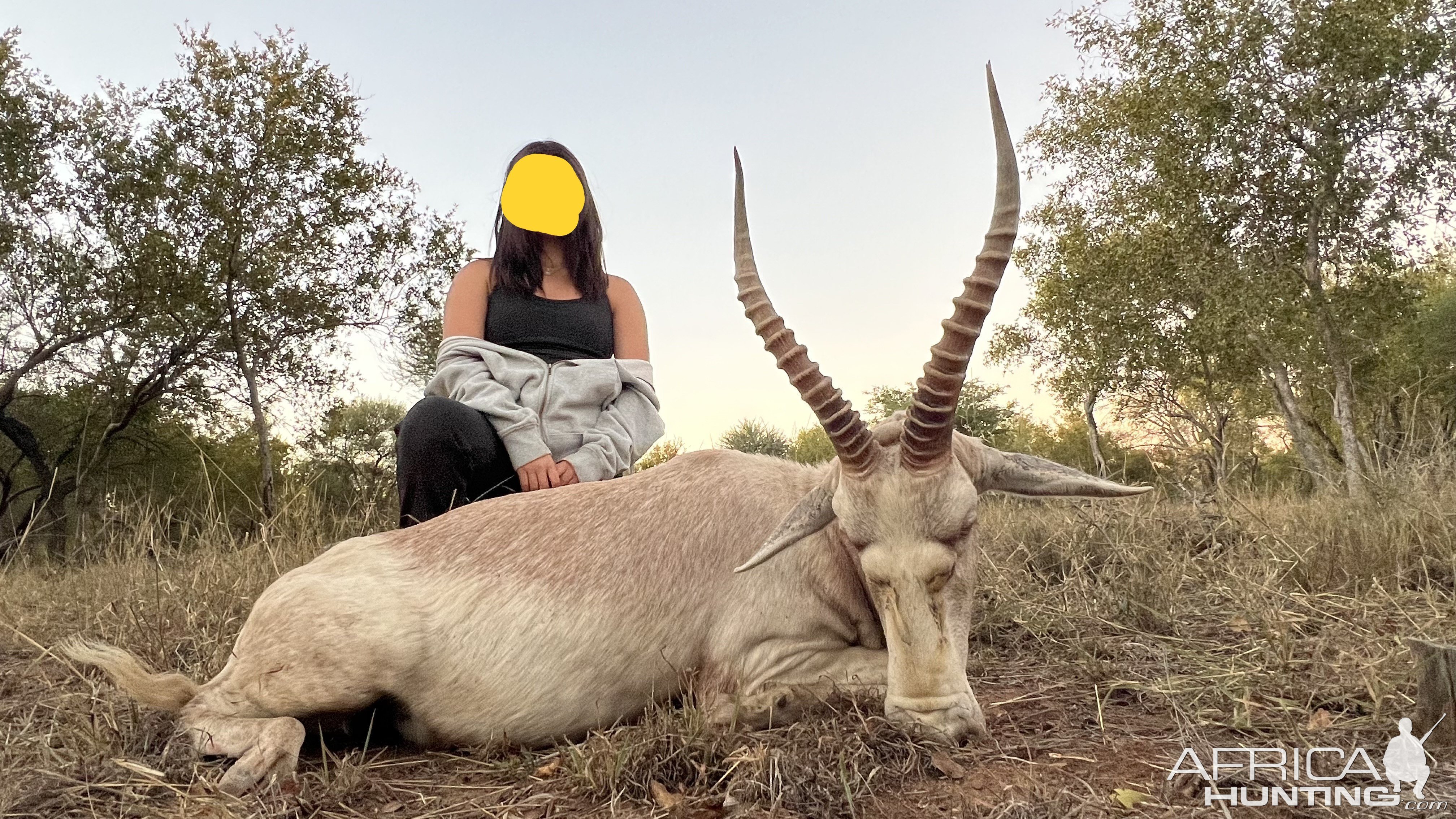 White Blesbok Hunt South Africa