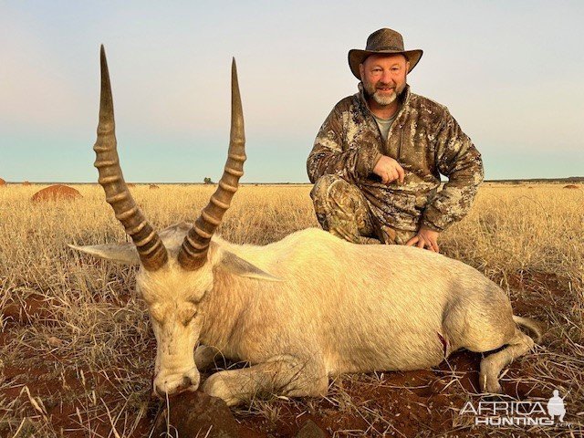 White Blesbok Hunt South Africa