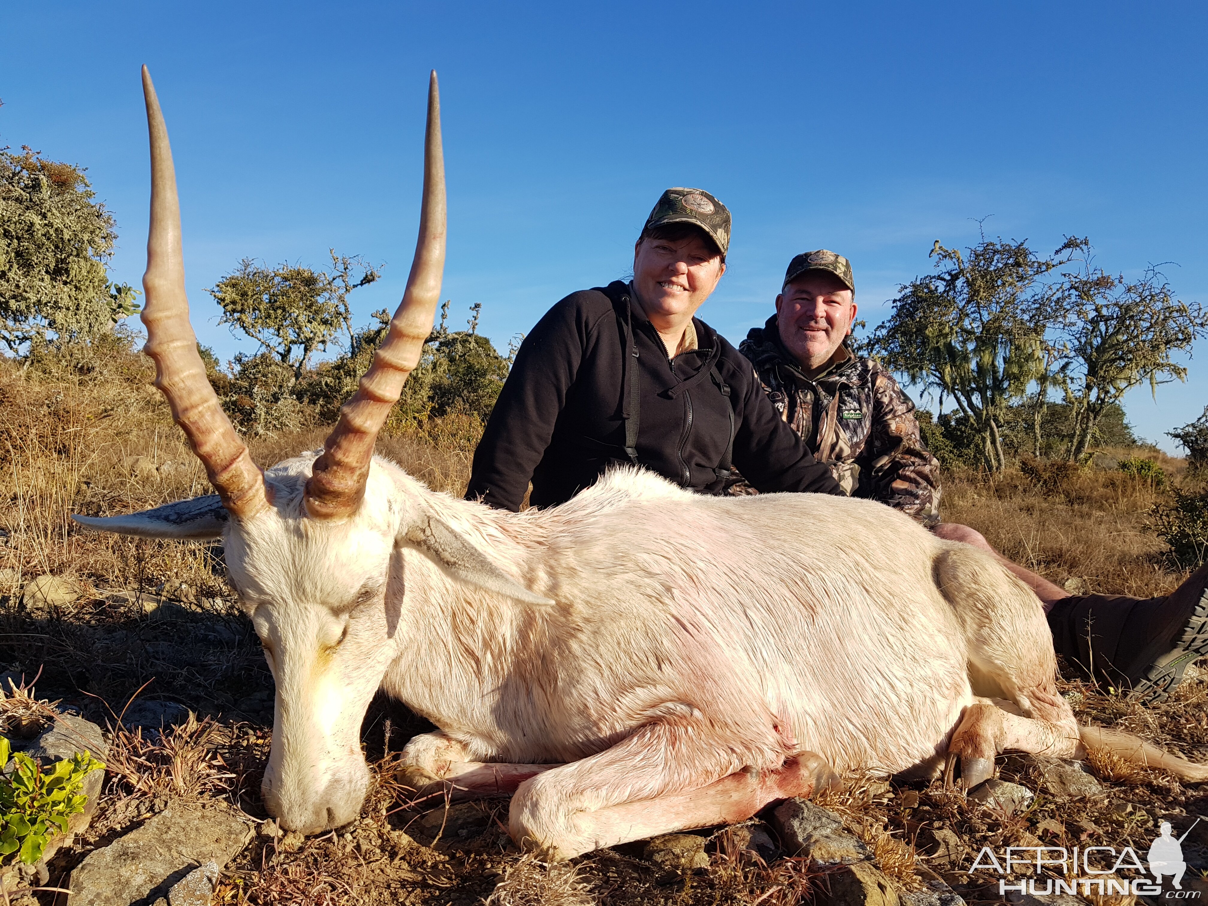 White Blesbok Hunt South Africa