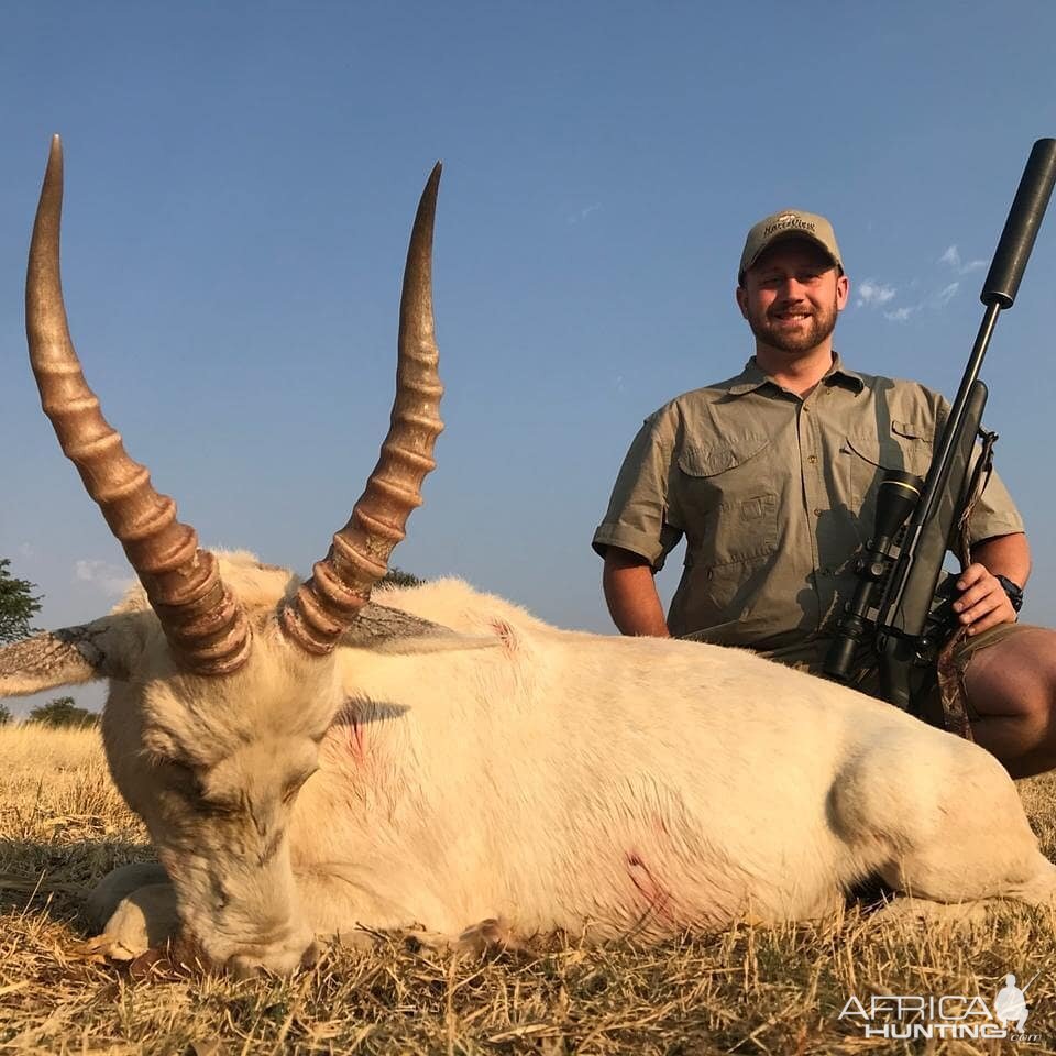 White Blesbok Hunt South Africa