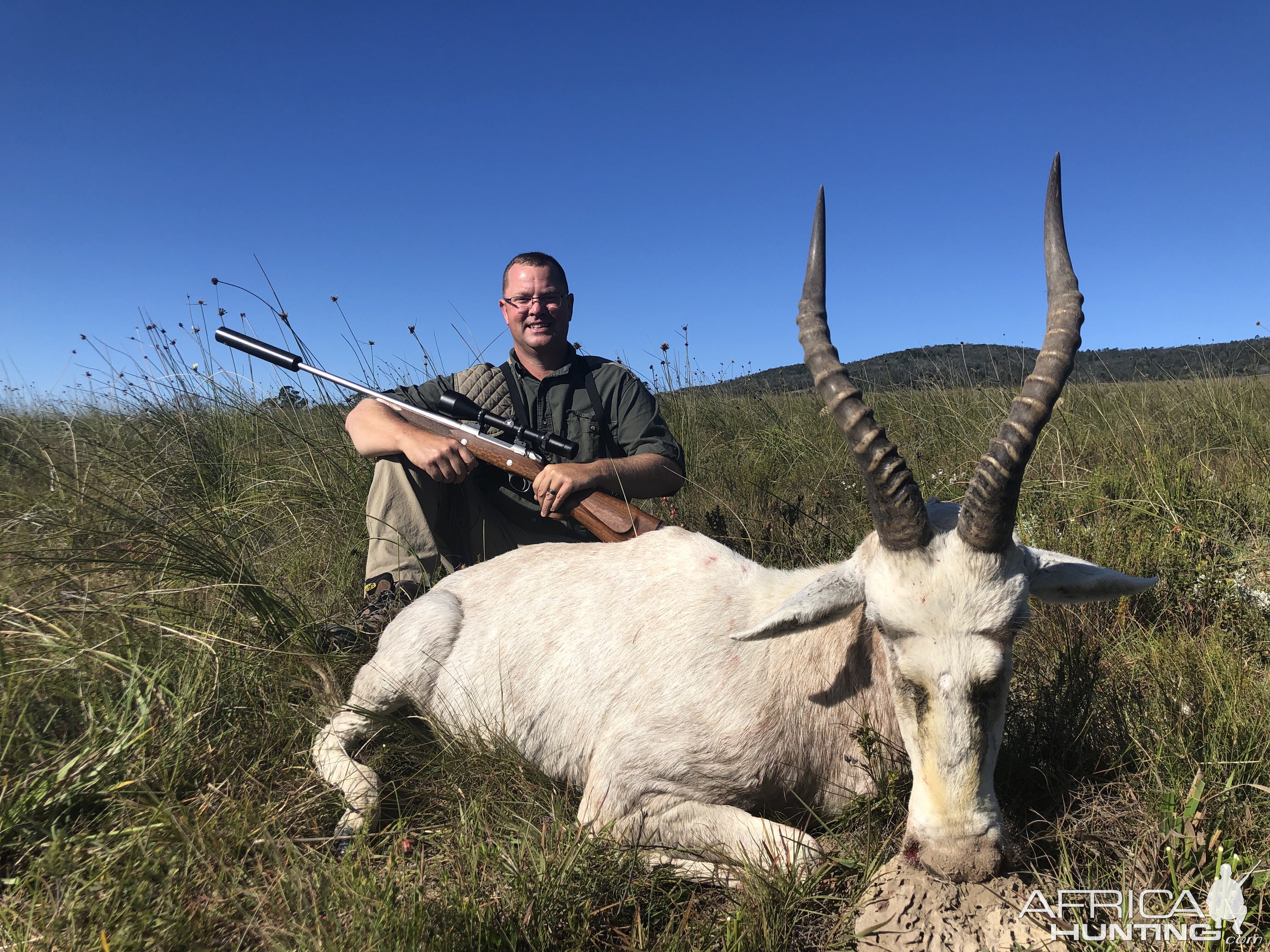 White Blesbok Hunt South Africa