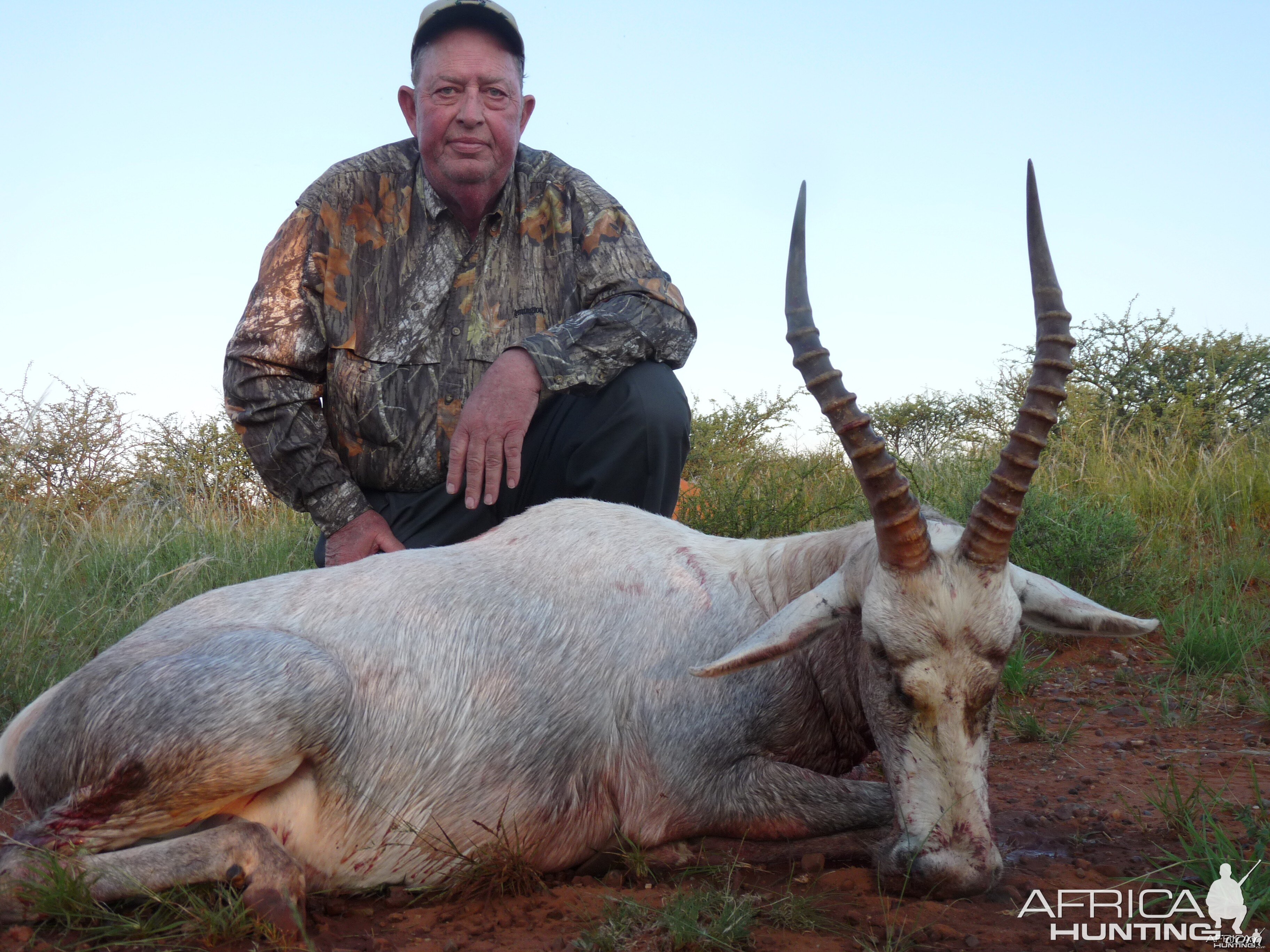 White Blesbok hunted in South Africa