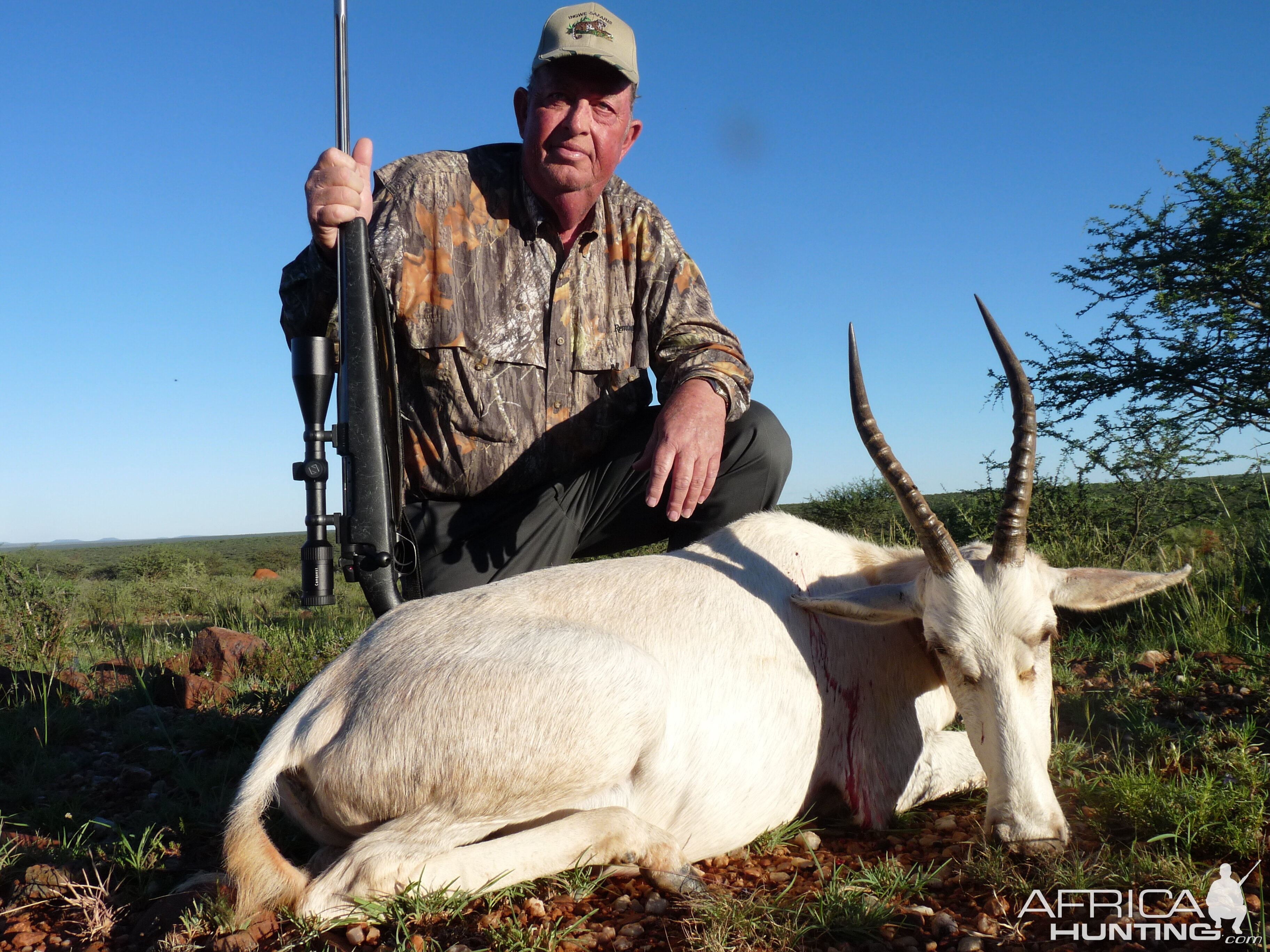 White Blesbok hunted in South Africa