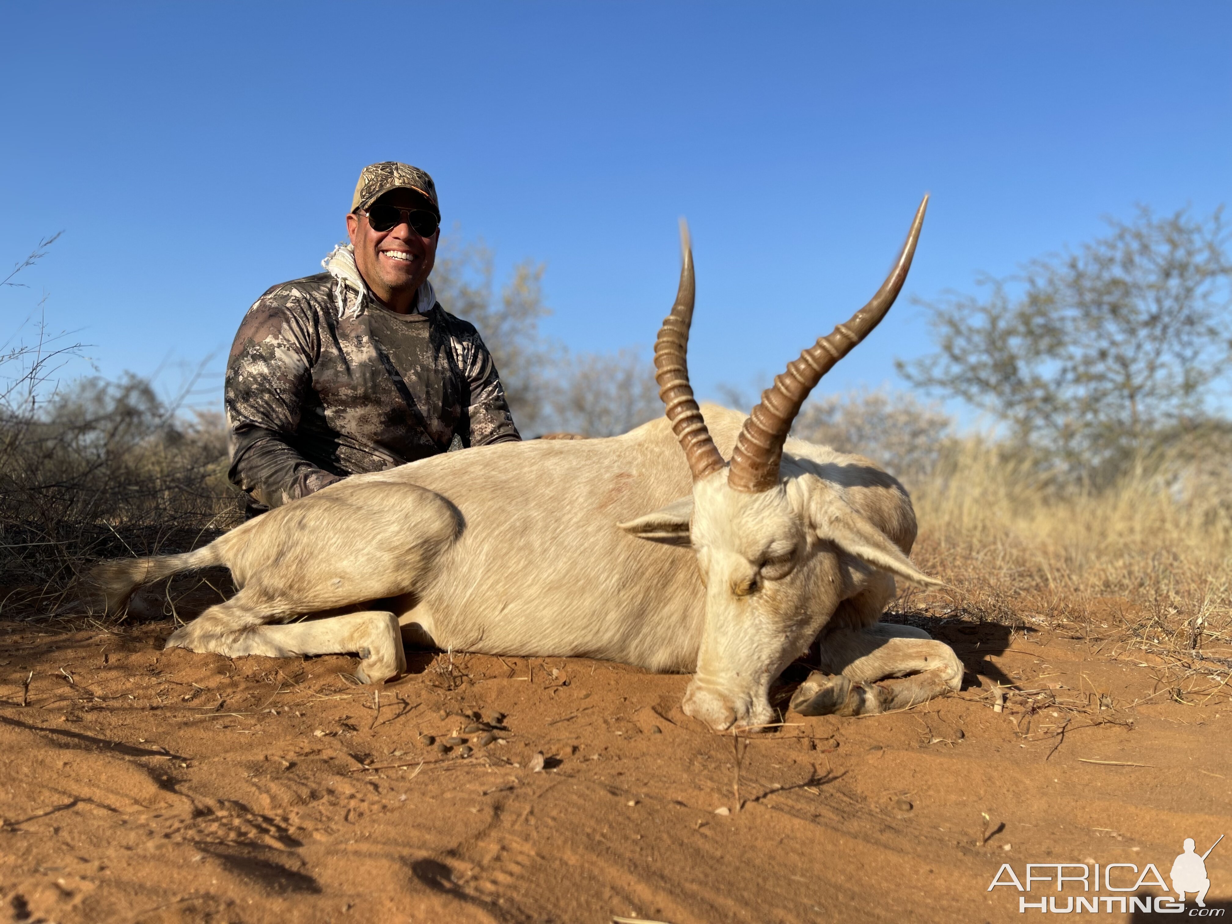 White Blesbok Hunting South Africa