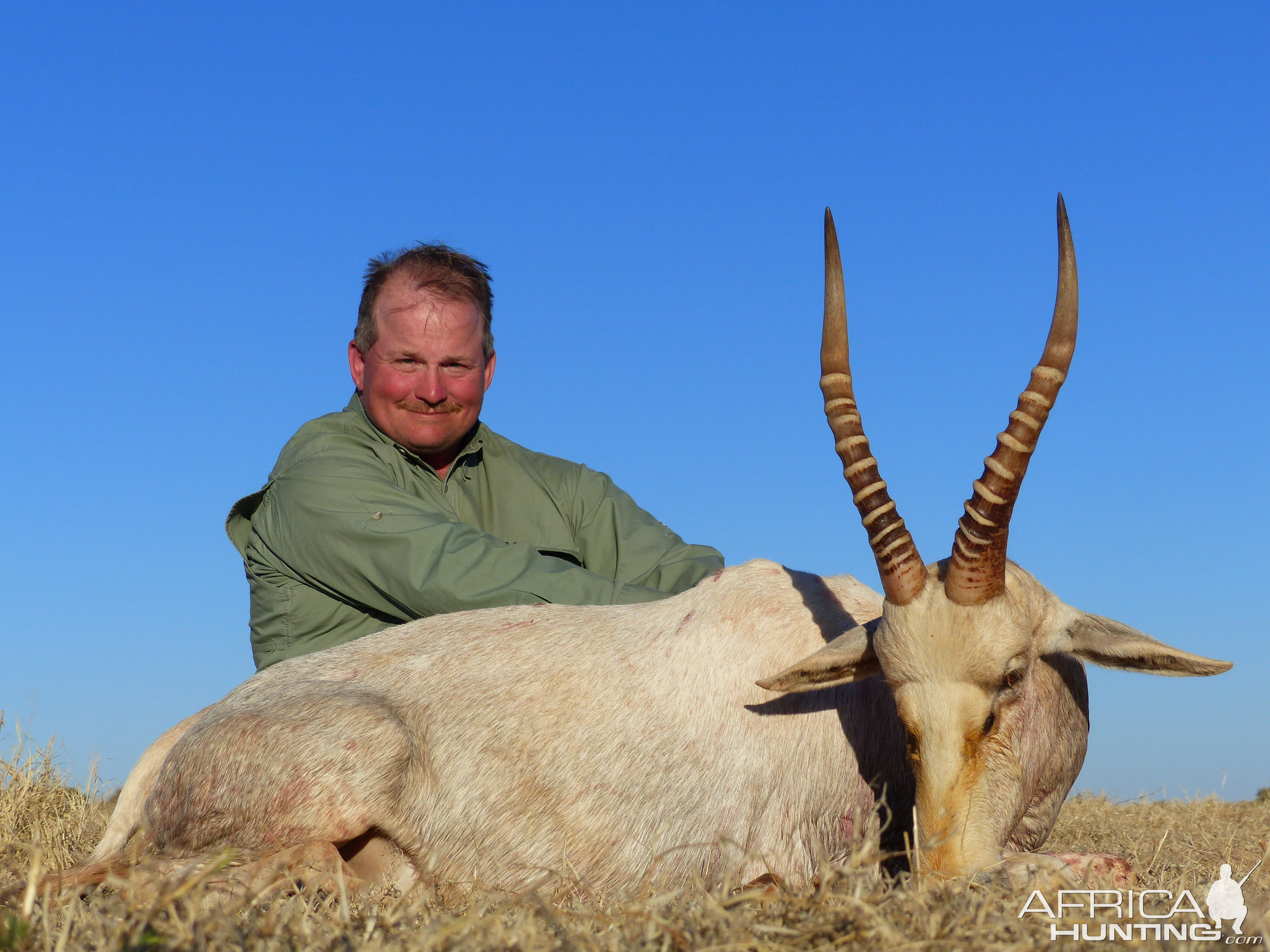 White Blesbok Hunting South Africa