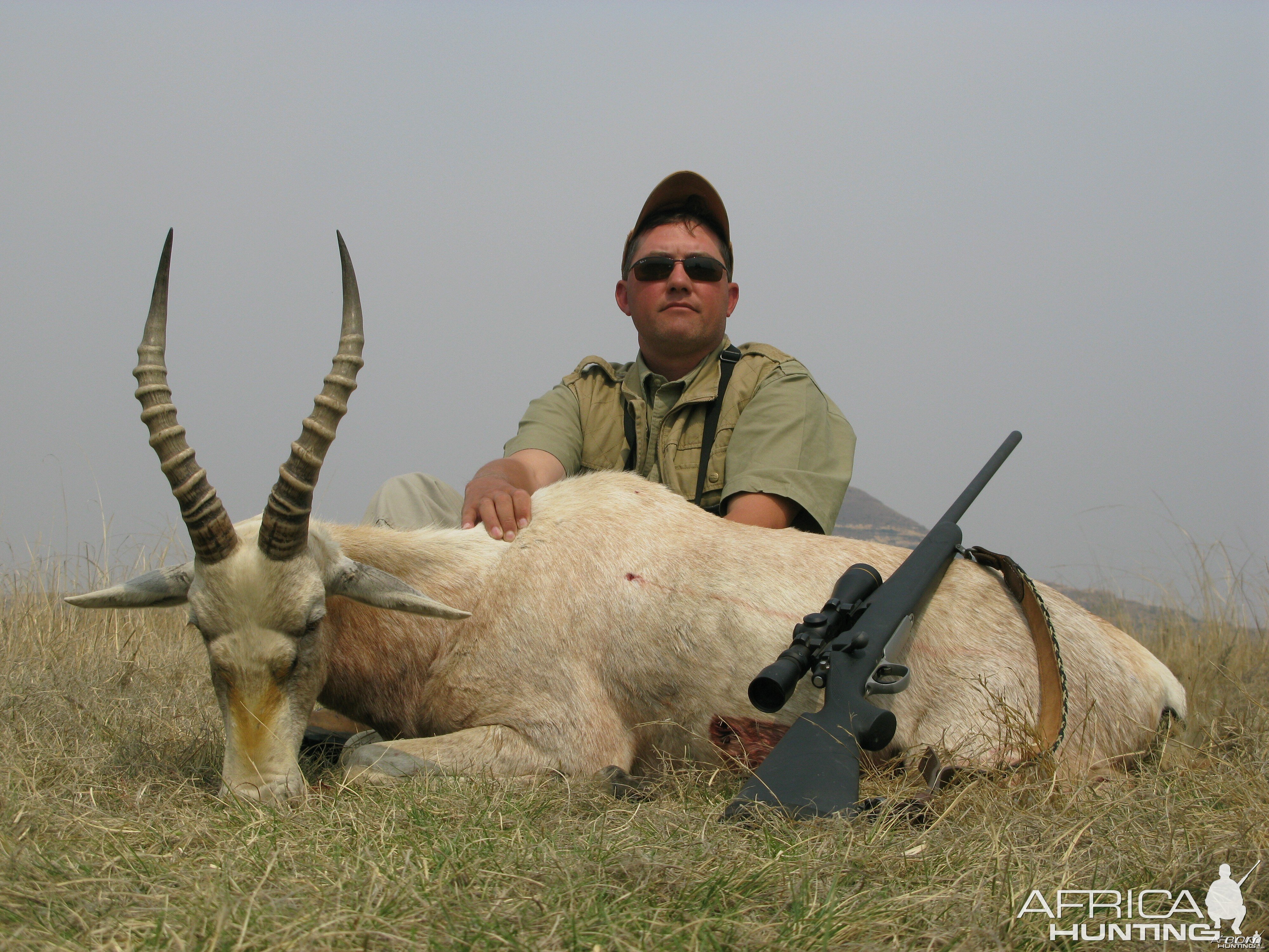 White blesbok