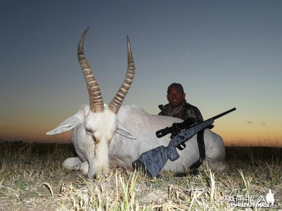 White Blesbok