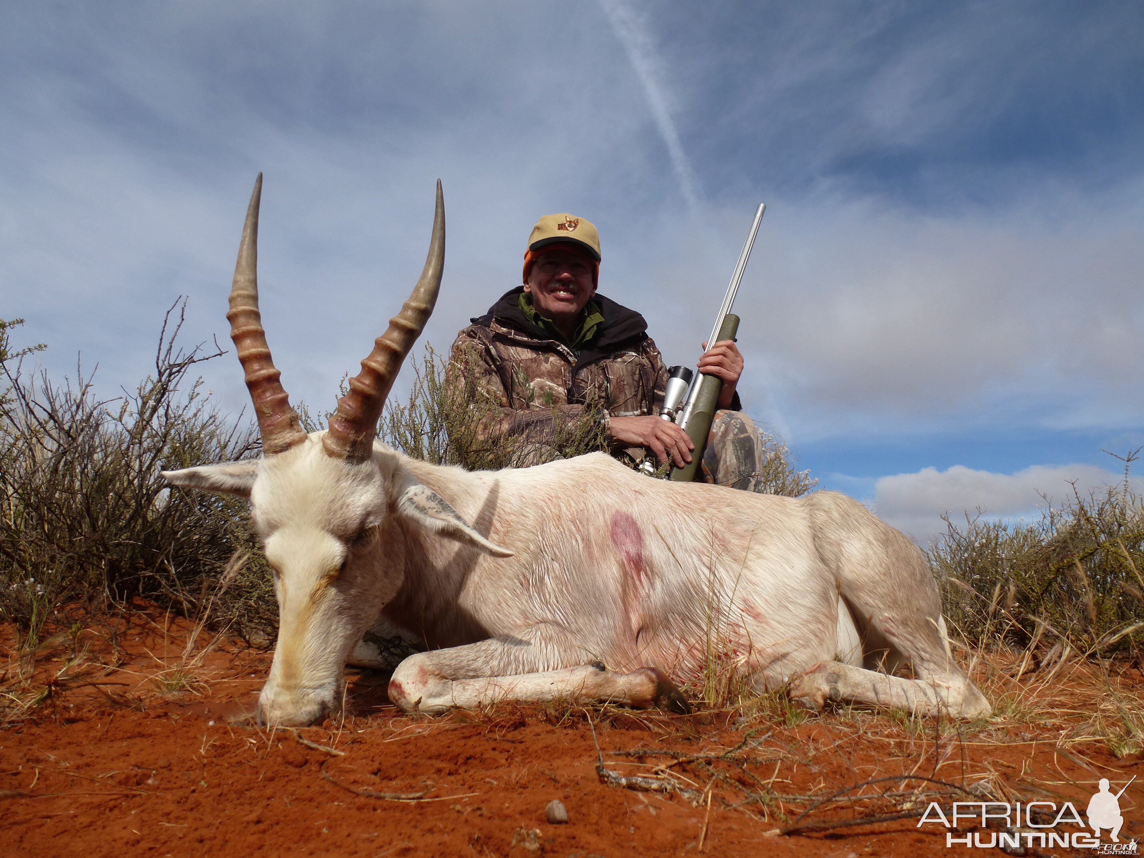 White Blesbok