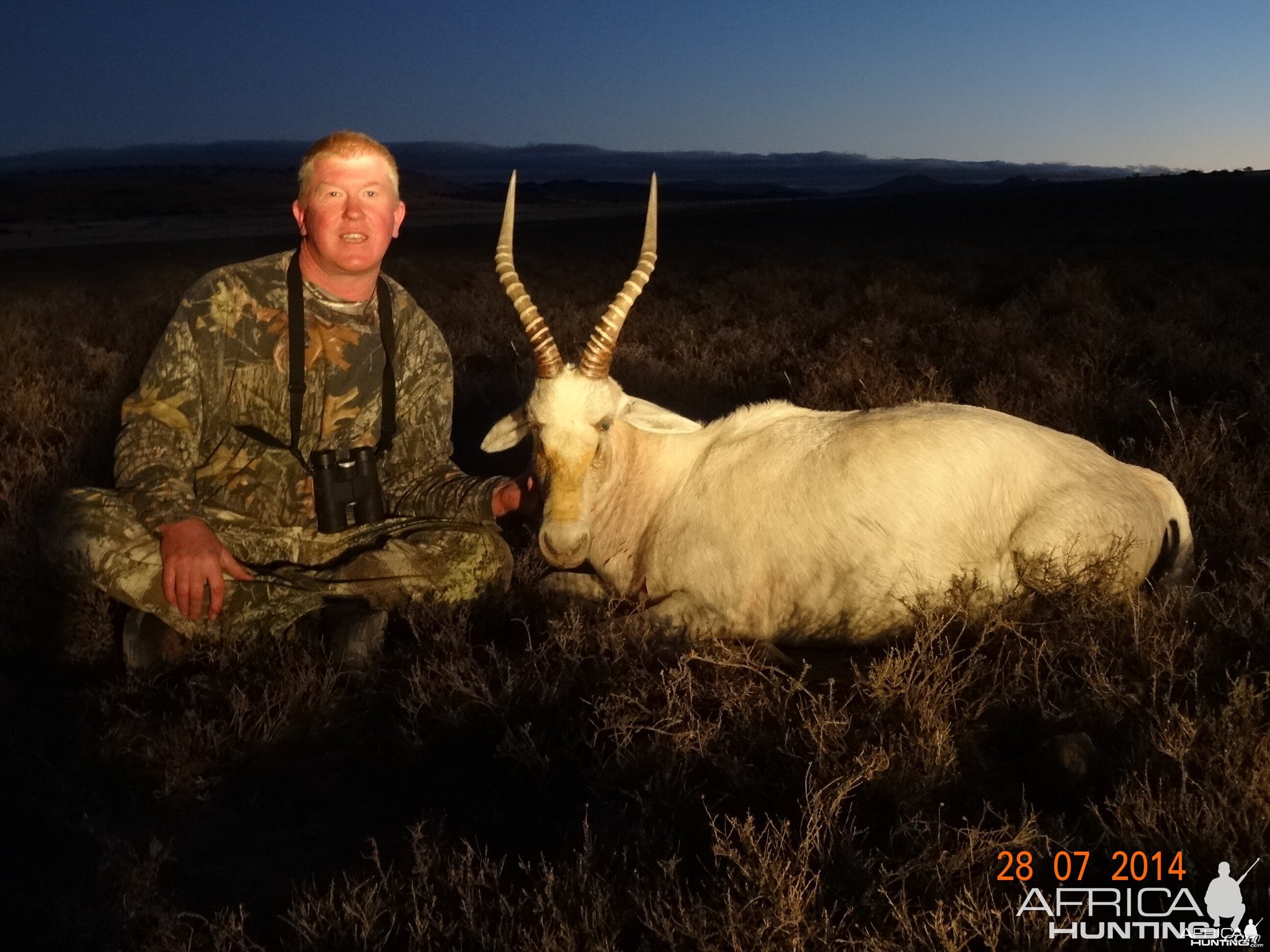 White Blesbok