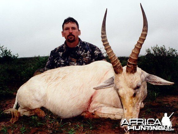 White Blesbuck Hunt East Cape SA