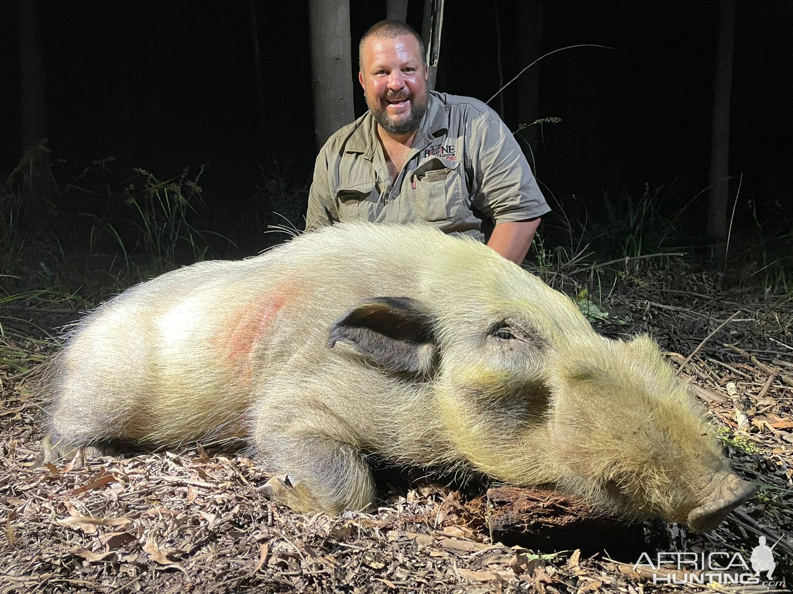 White Bushpig Hunting Kwazulu Natal South Africa