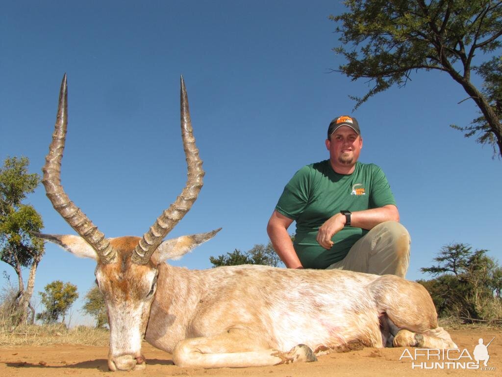 White Flanked Impala