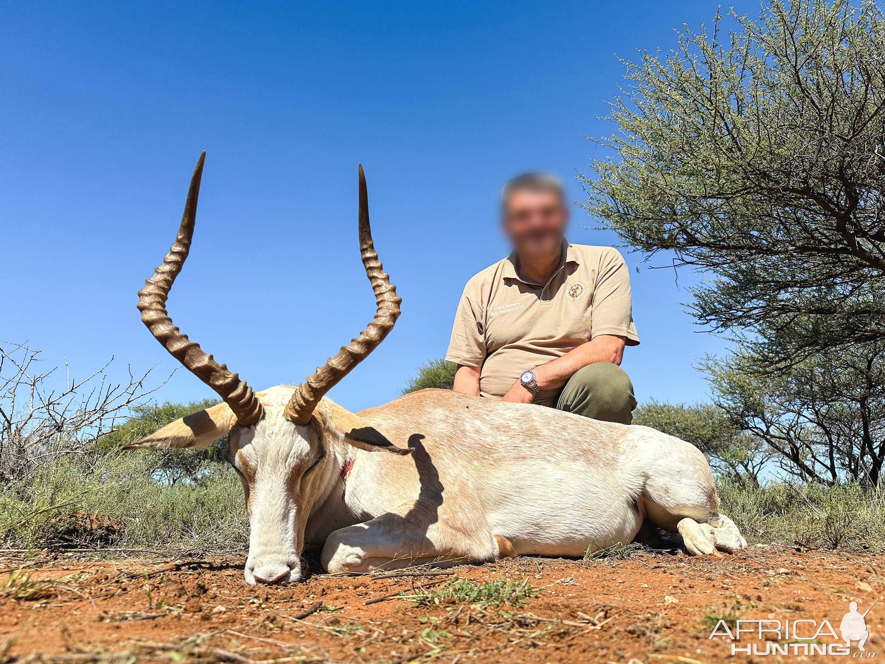 White Impala Hunt South Africa