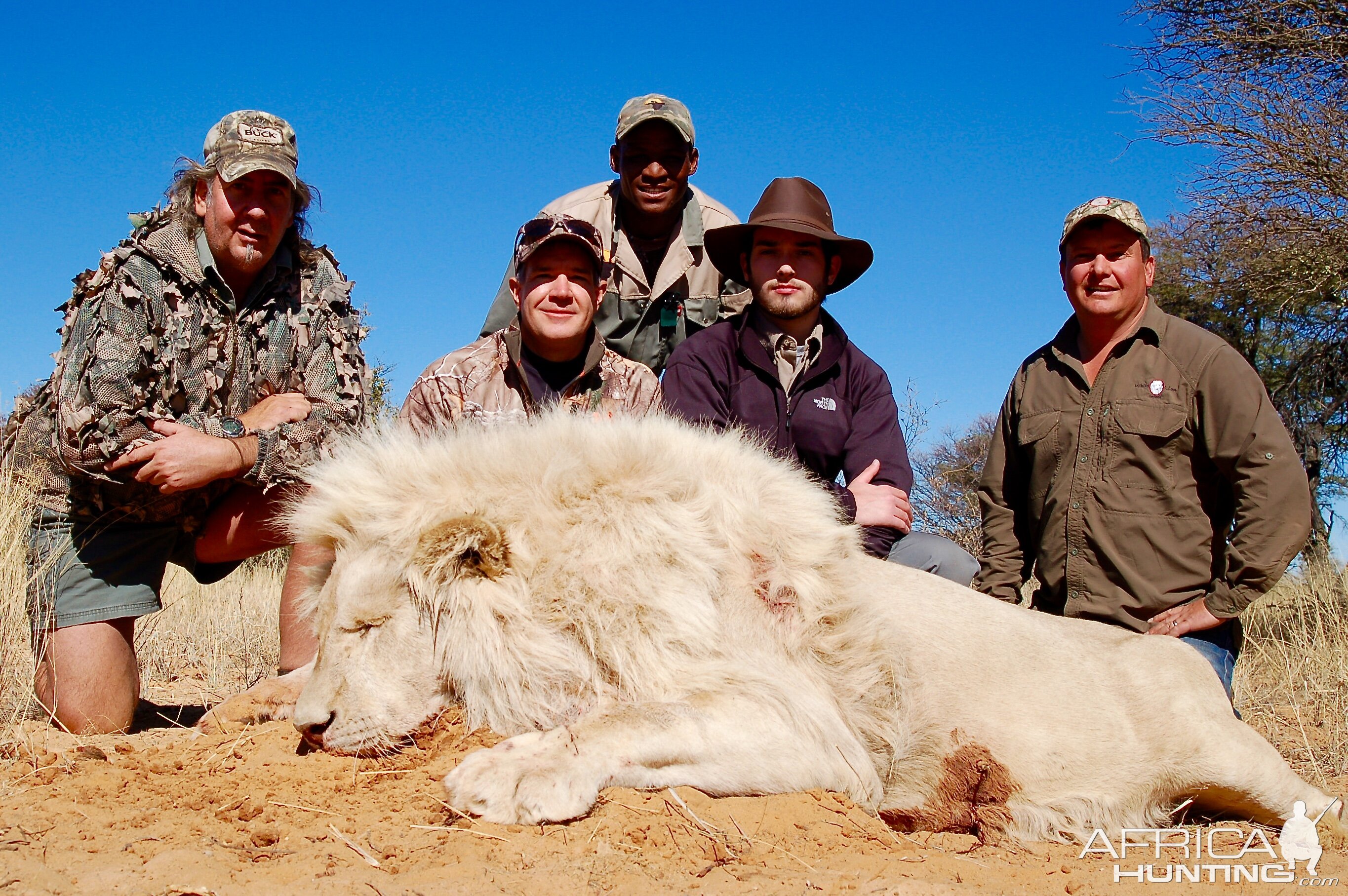 White Lion Hunt