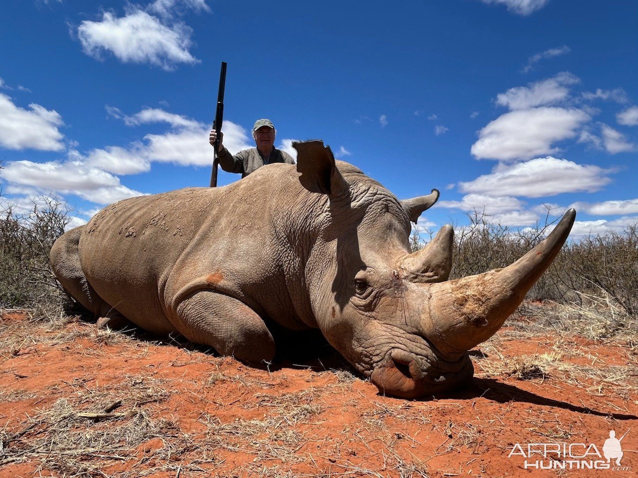 White Rhino Hunt Northern Cape South Africa