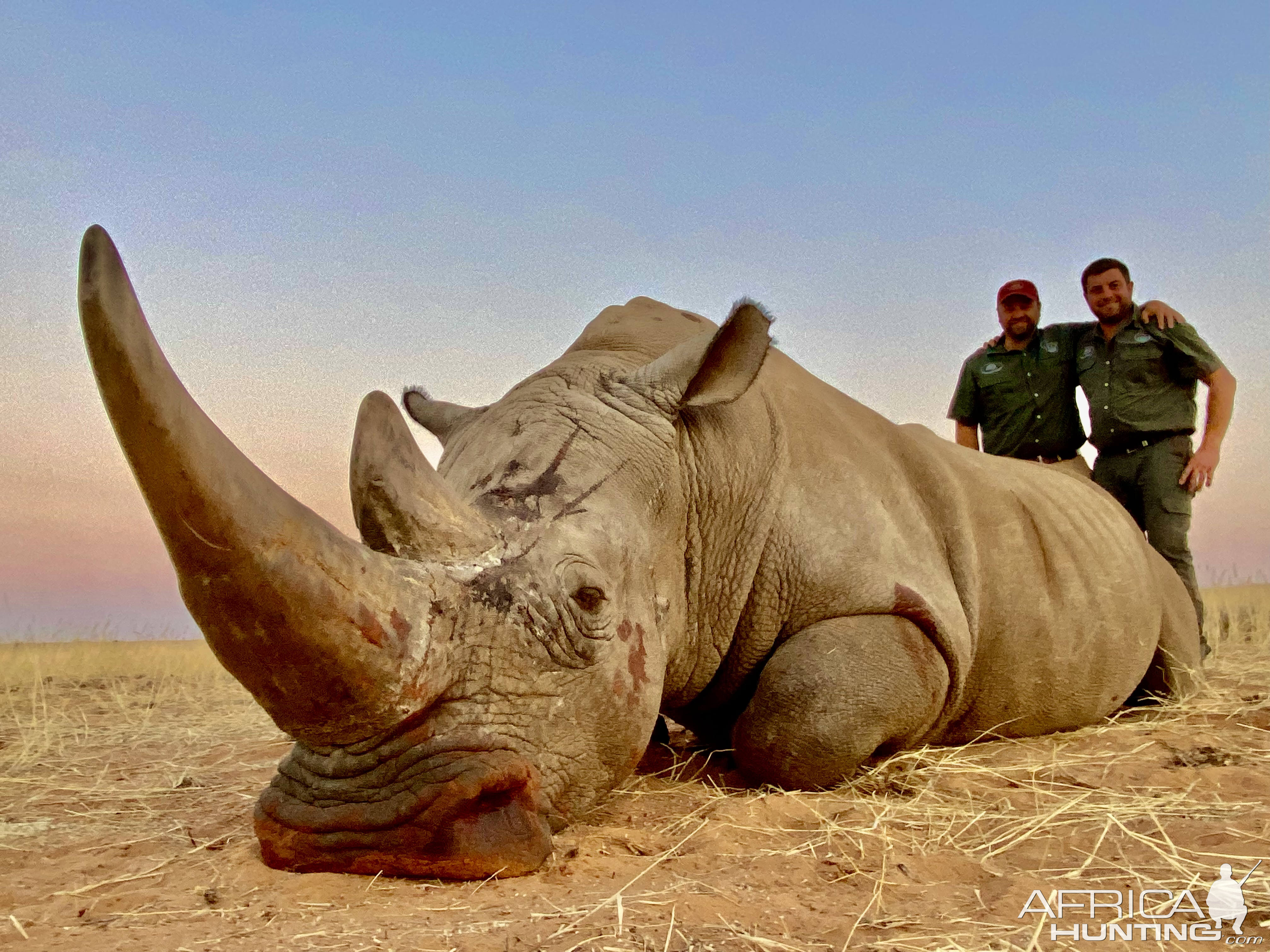 White Rhino Hunt Nothern Cape South Africa