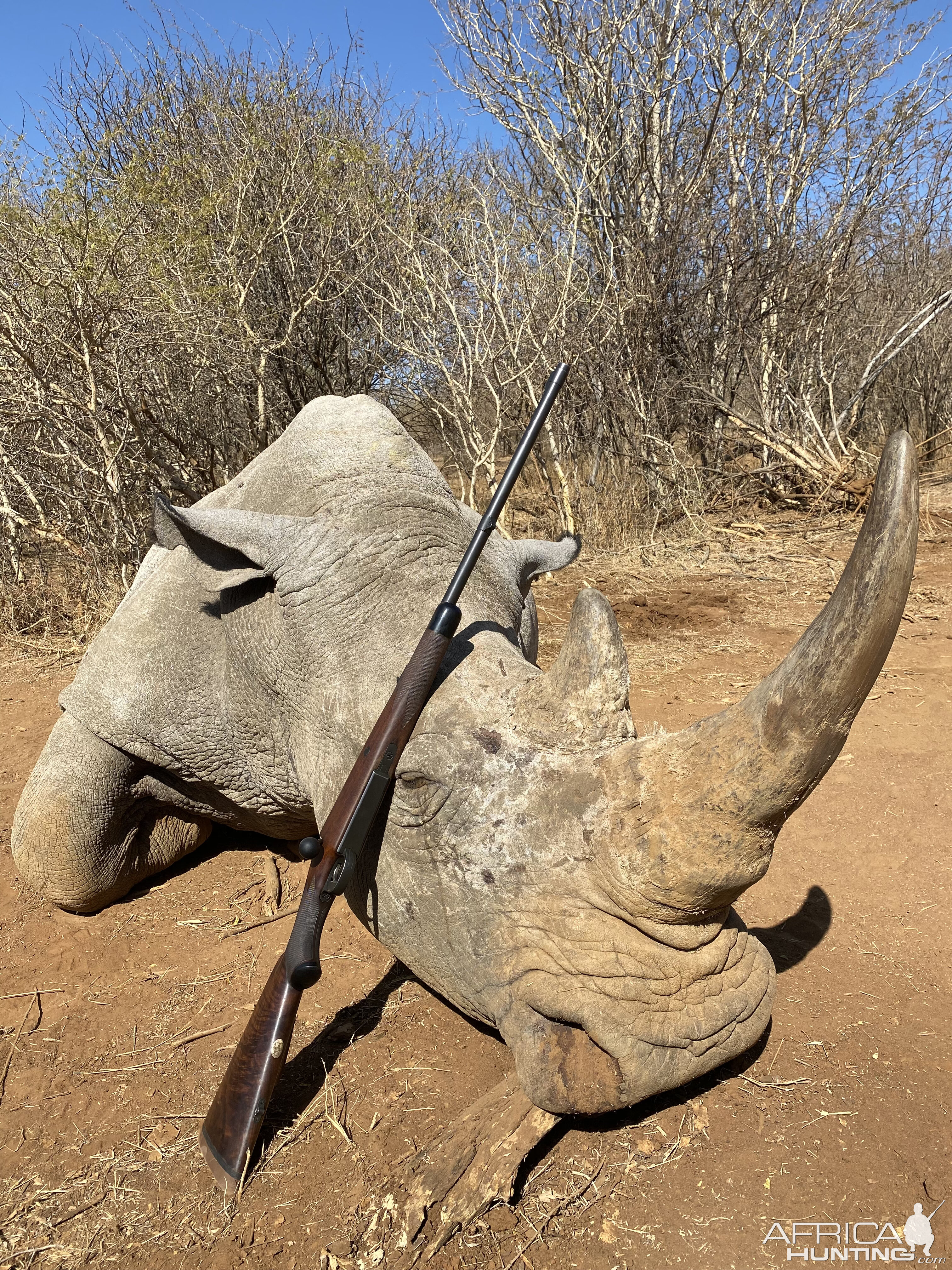 White Rhino Hunt South Africa