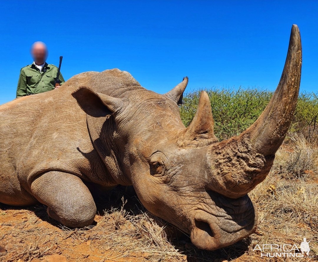 White Rhino Hunt South Africa