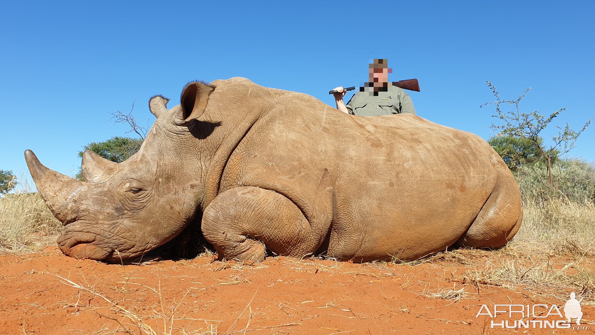 White Rhino Hunt