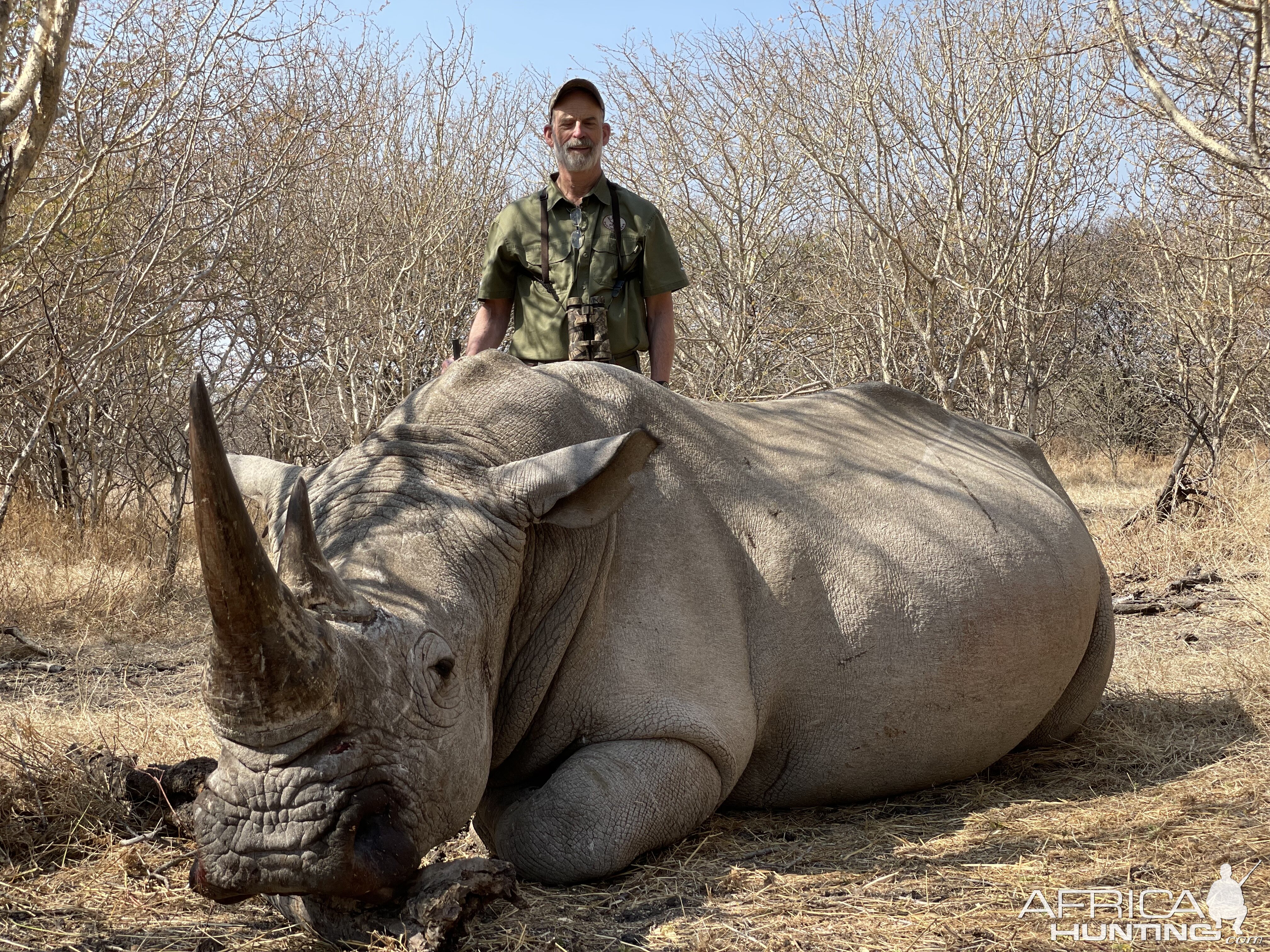 White Rhino Hunting Limpopo South Africa