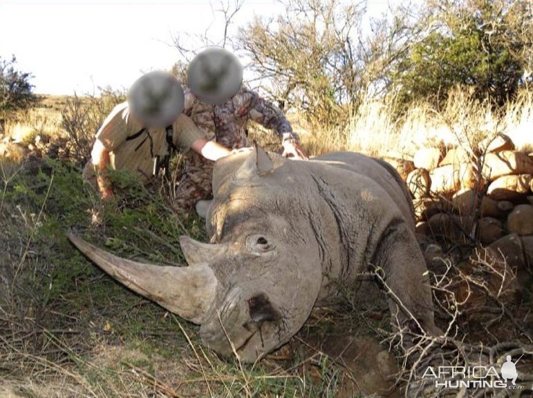 White Rhino Hunting South Africa