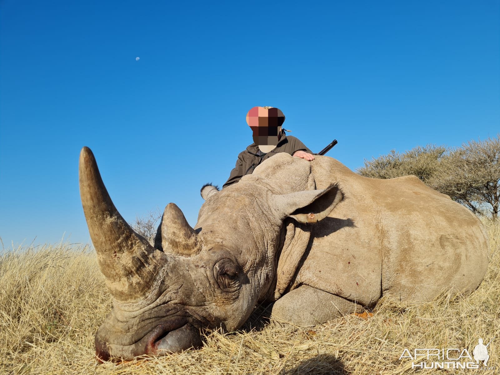 White Rhino Hunting South Africa