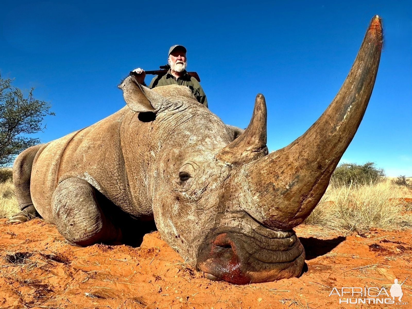 White Rhino Hunting