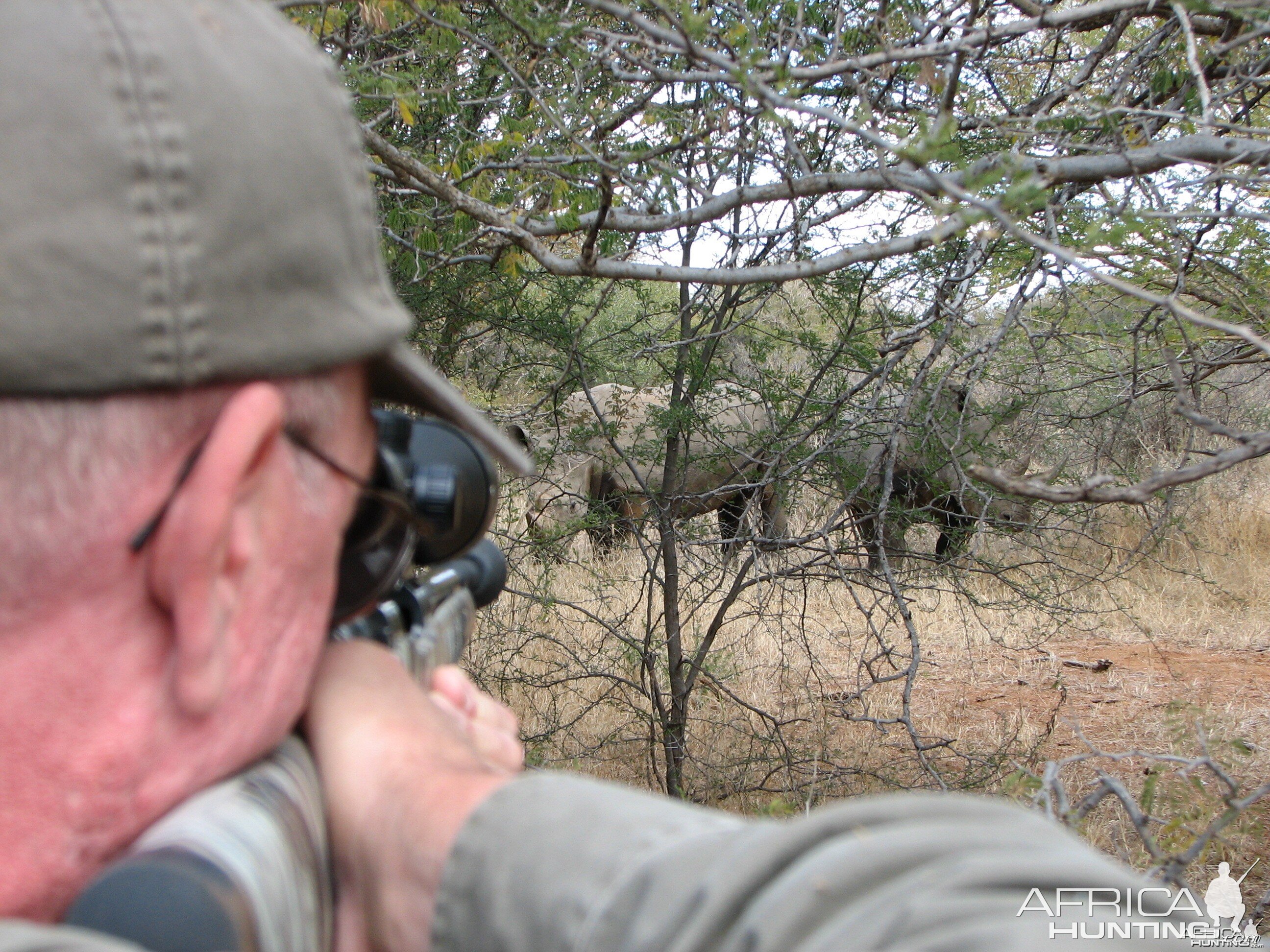 White Rhino Limpopo River Area