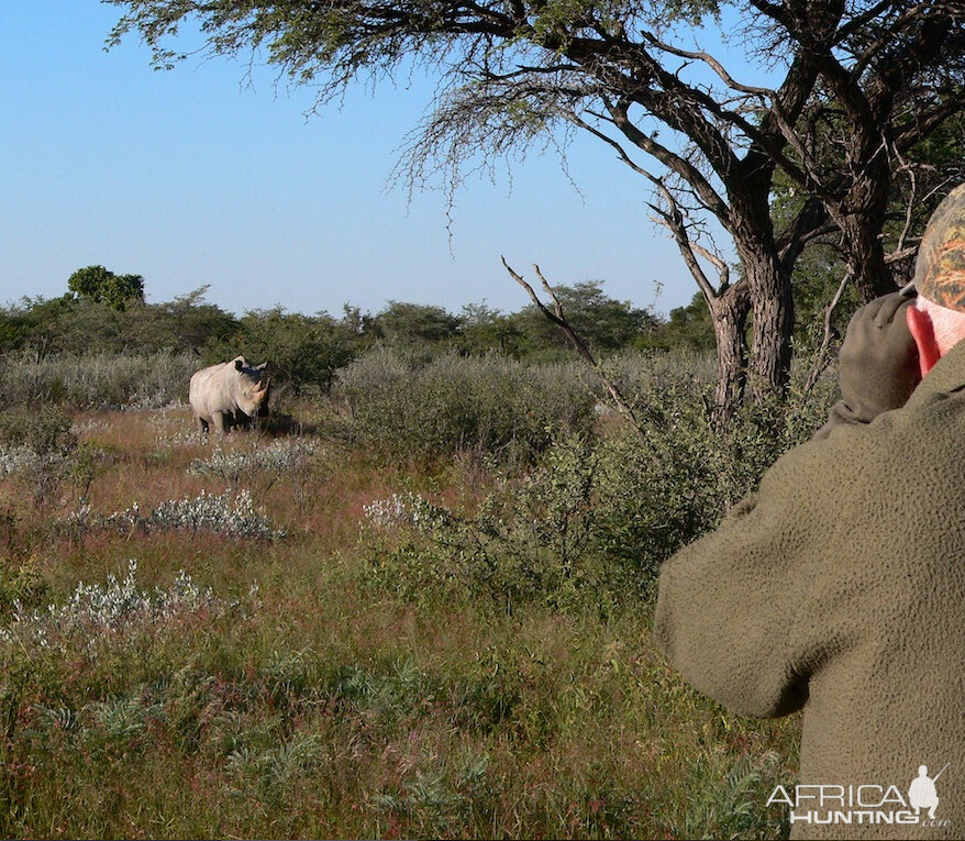 White Rhino