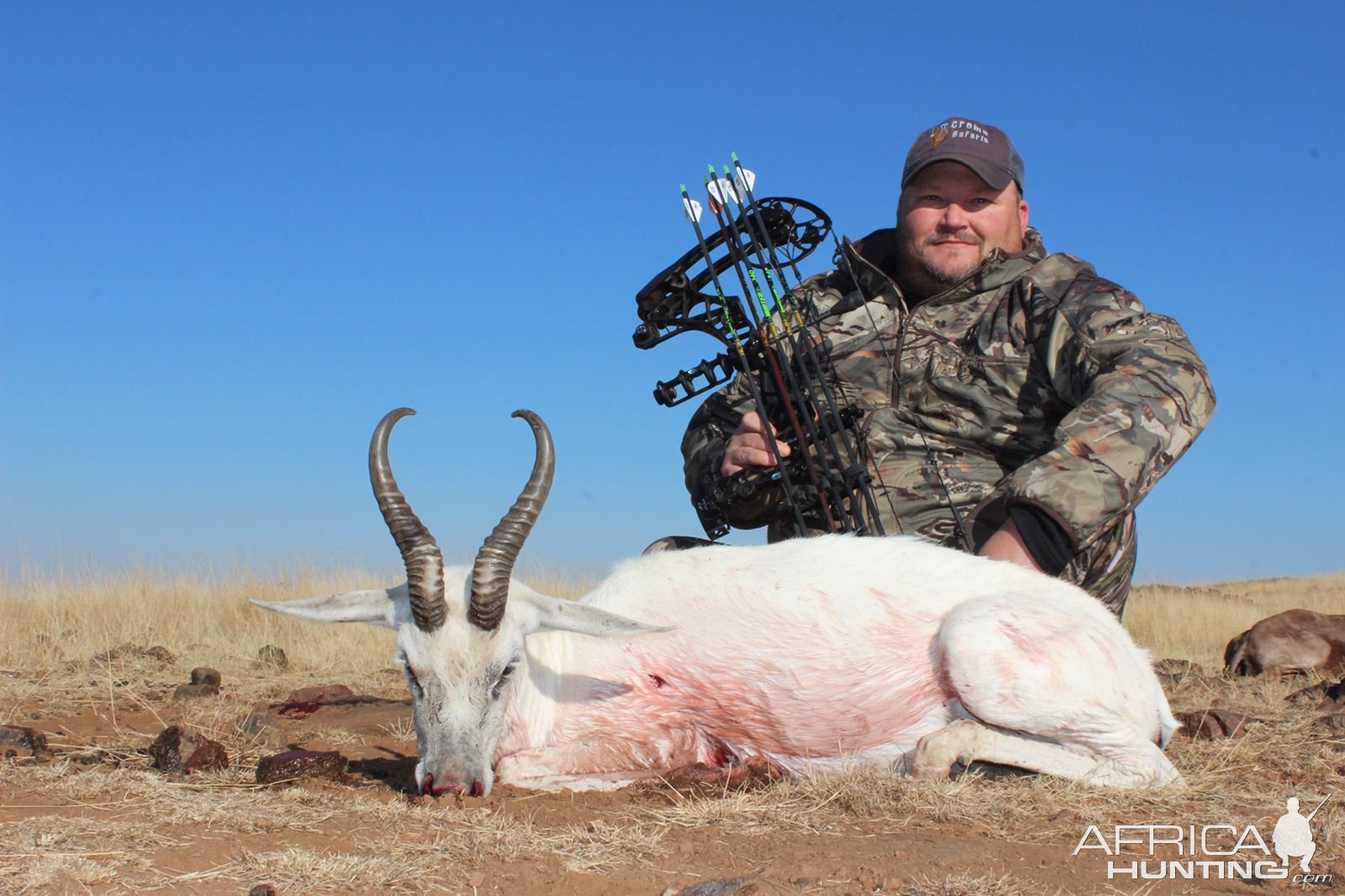 White Springbok Bowhunting South Africa