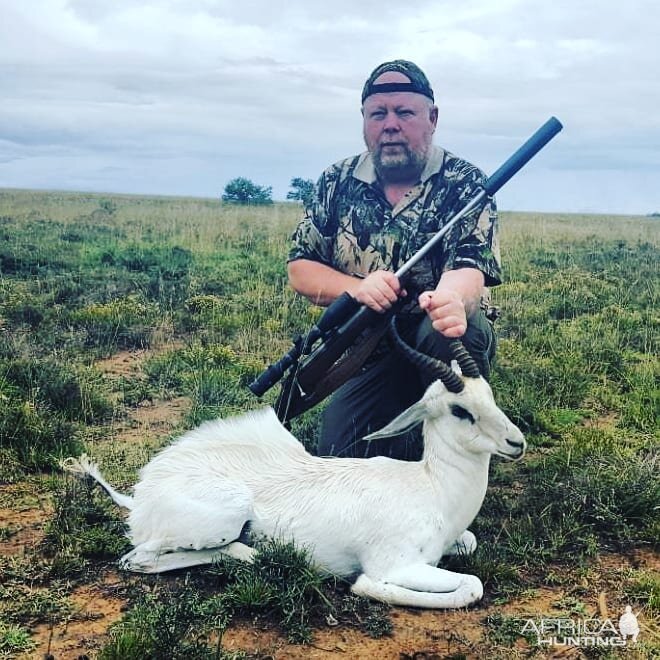 White Springbok Hunt in South Africa