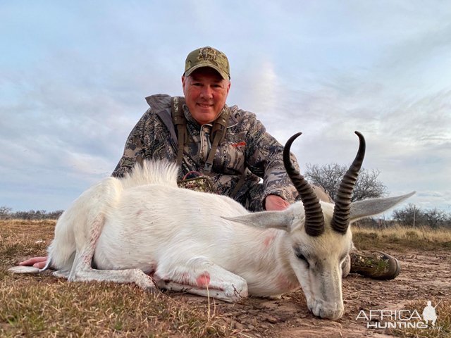 White Springbok Hunt South Africa