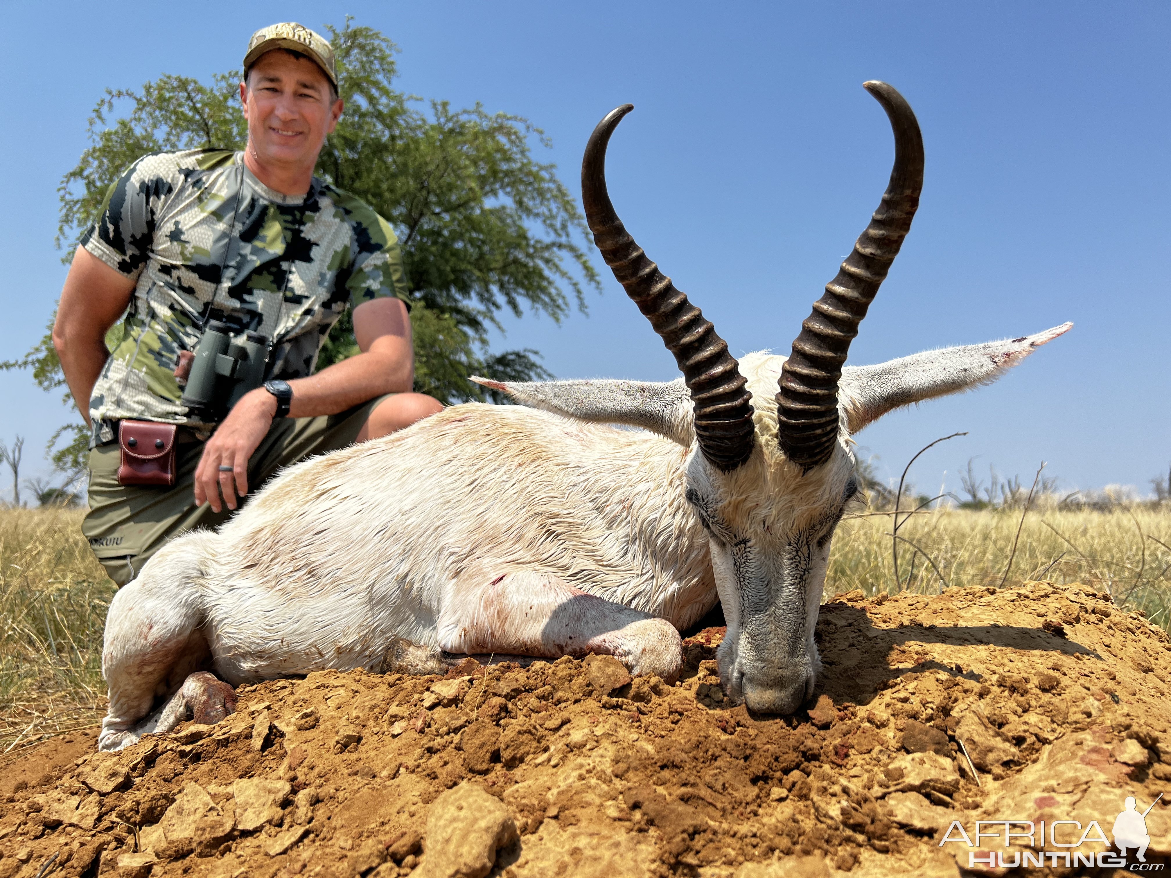 White Springbok Hunt South Africa