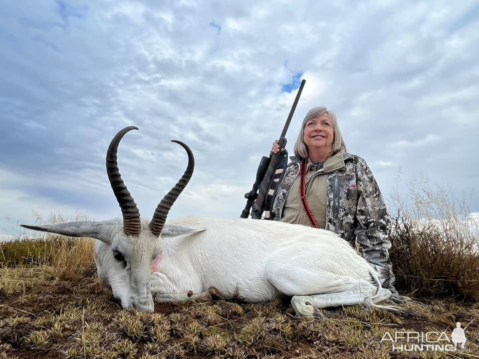 White Springbok Hunt South Africa