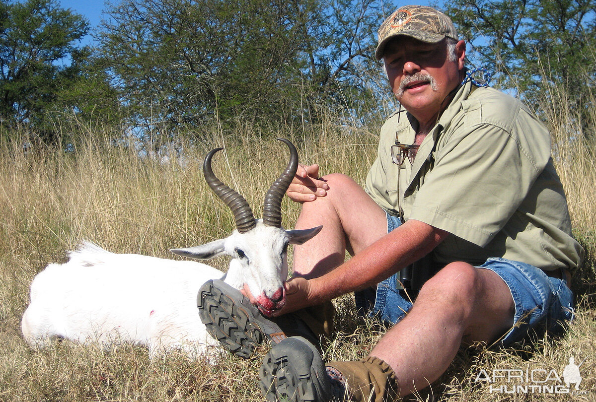 White Springbok Hunt South Africa