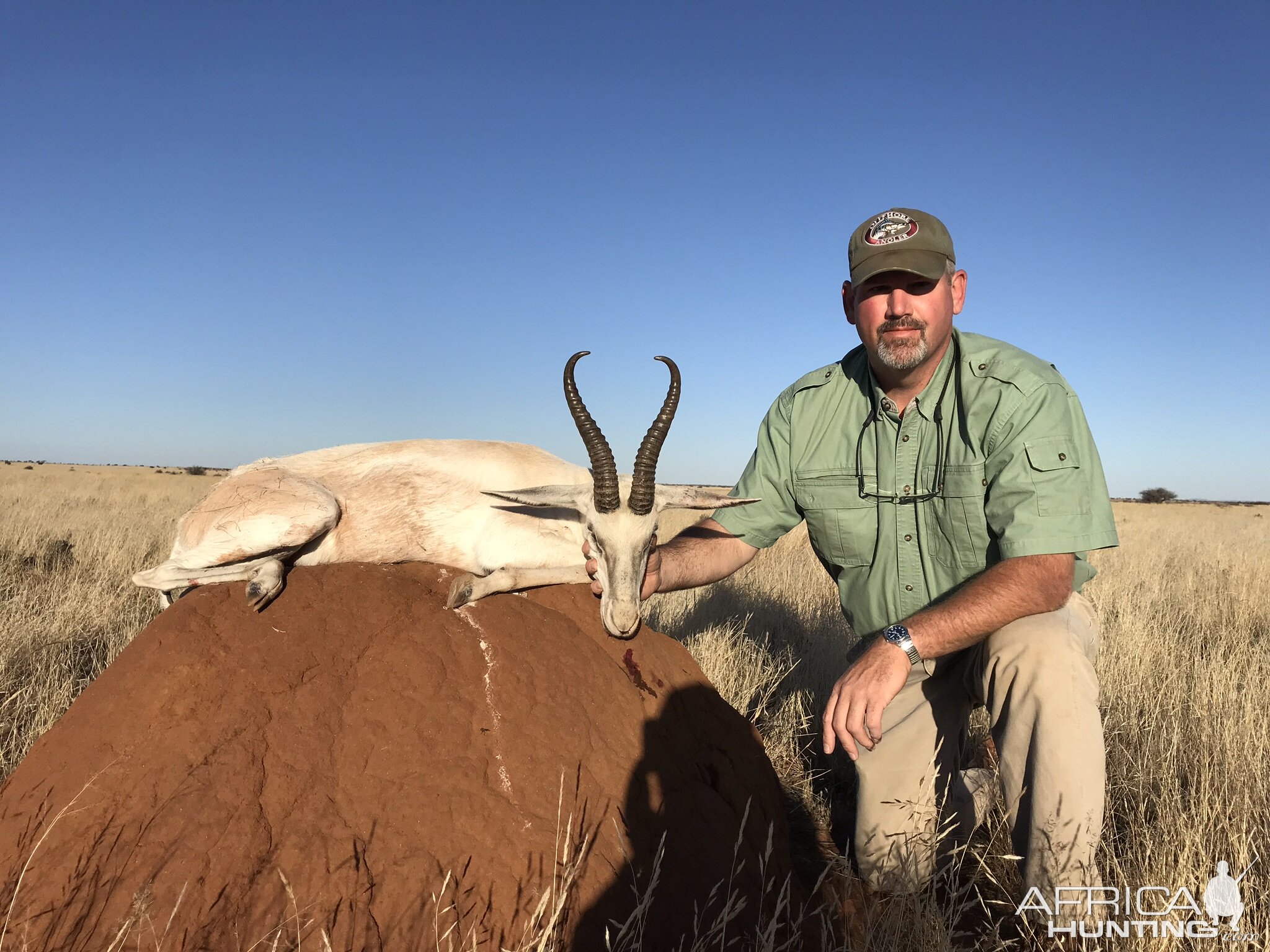 White Springbok Hunt South Africa