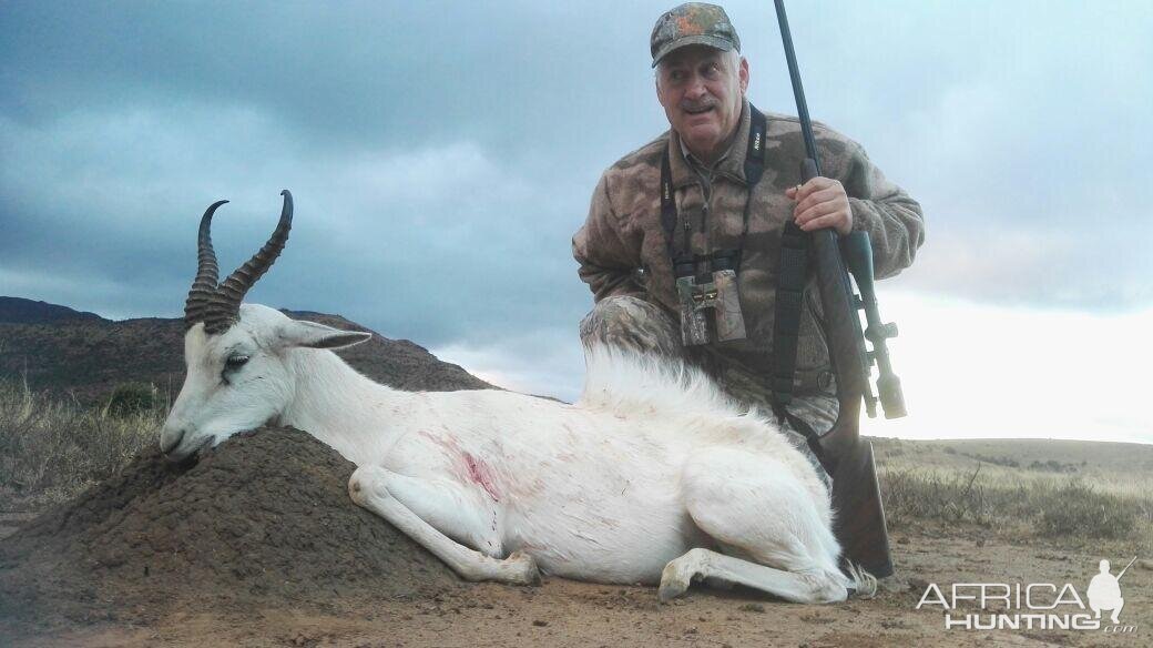 White Springbok Hunt South Africa