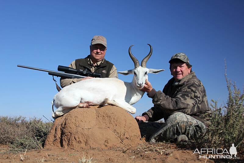 White Springbok hunt with Wintershoek Johnny Vivier Safaris