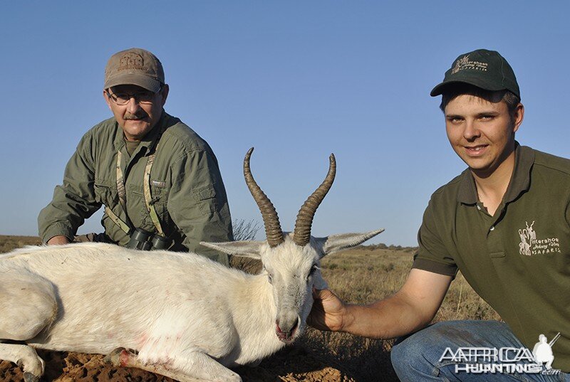 White Springbok hunt with Wintershoek Johnny Vivier Safaris