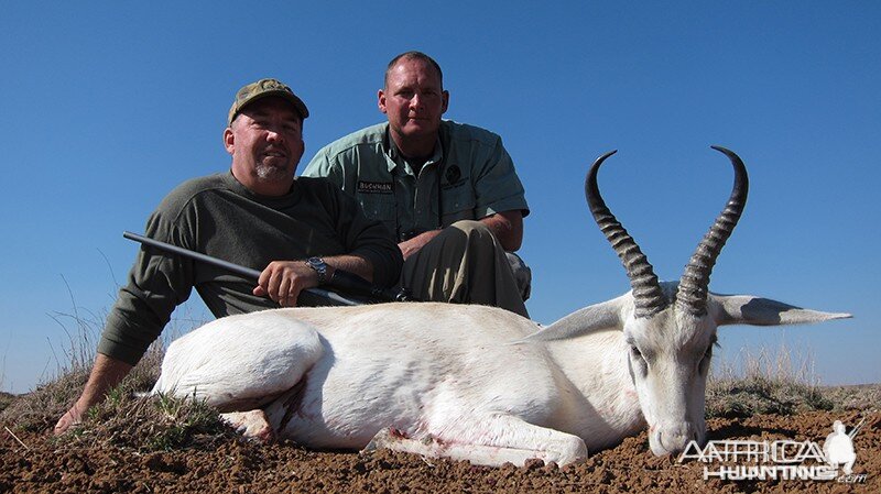 White Springbok hunt with Wintershoek Johnny Vivier Safaris