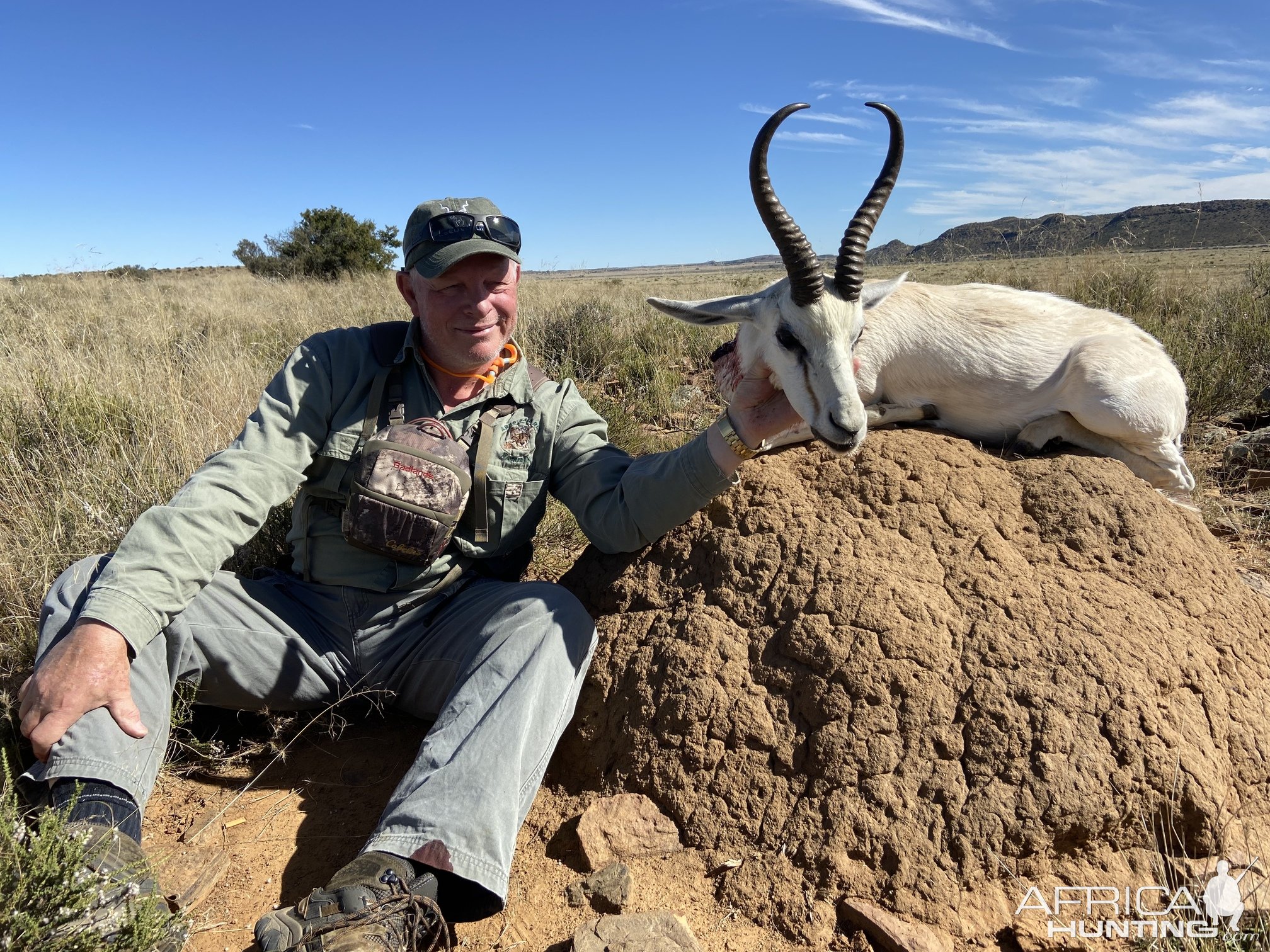 White Springbok Hunting South Africa