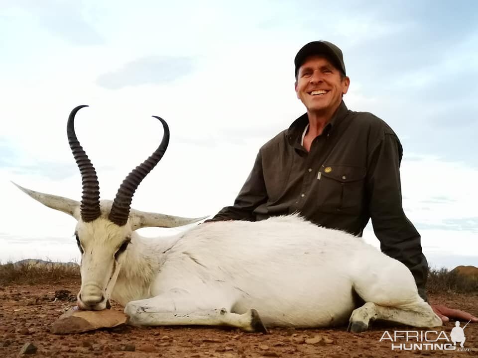 White Springbok Hunting South Africa