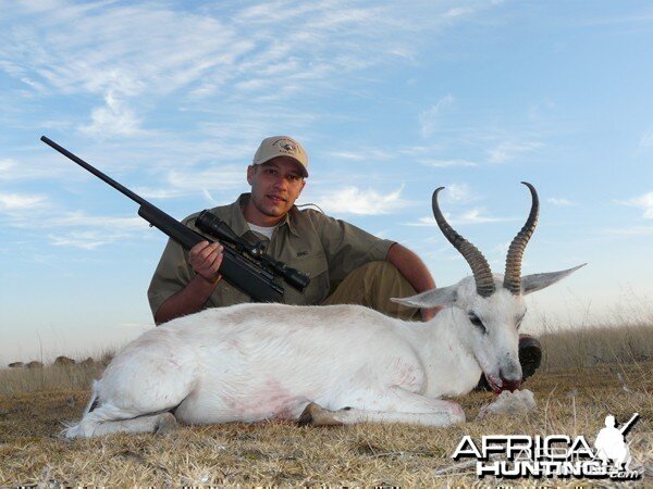 White Springbok