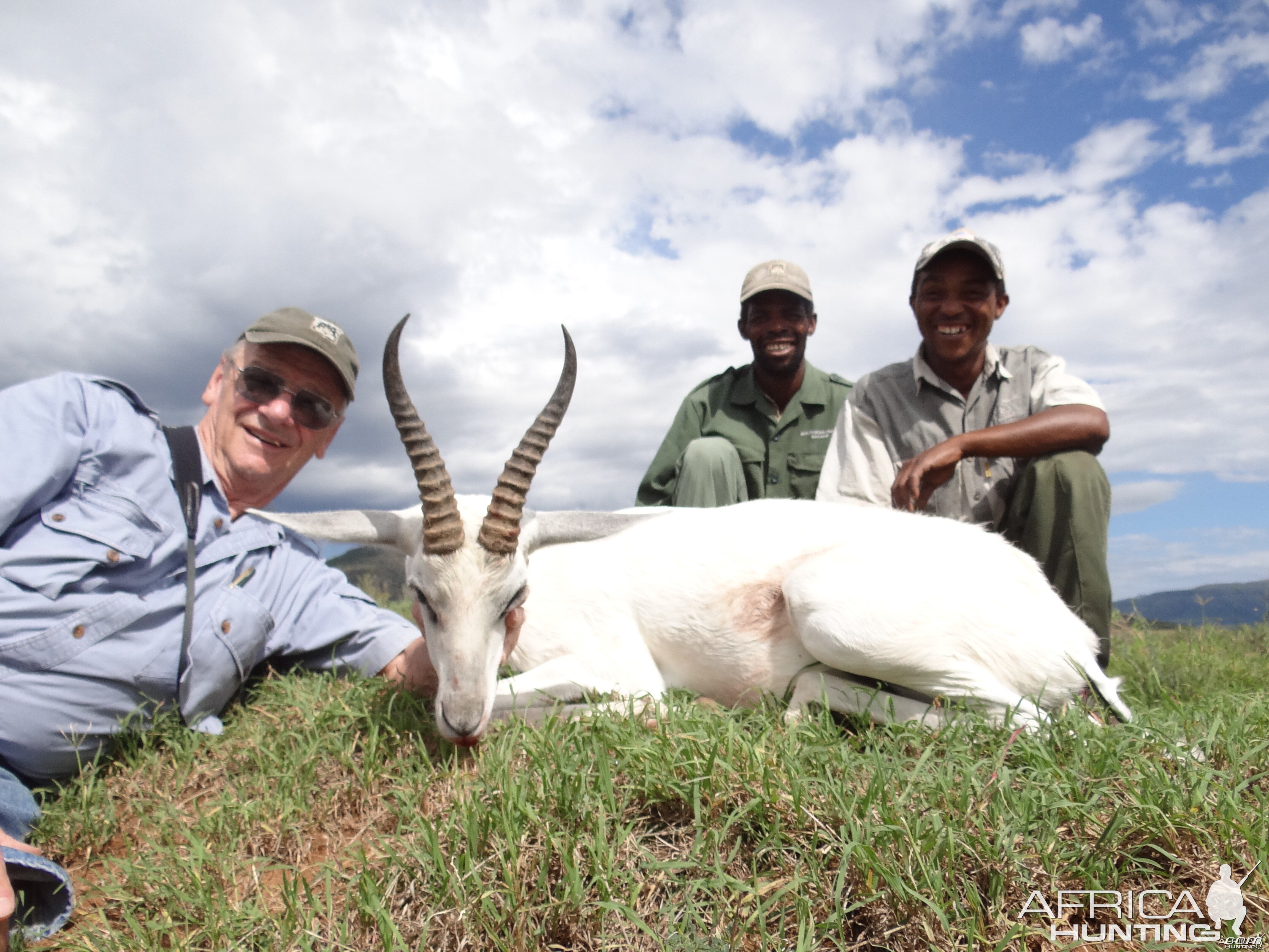 White Springbuck ~ East Cape, South Africa