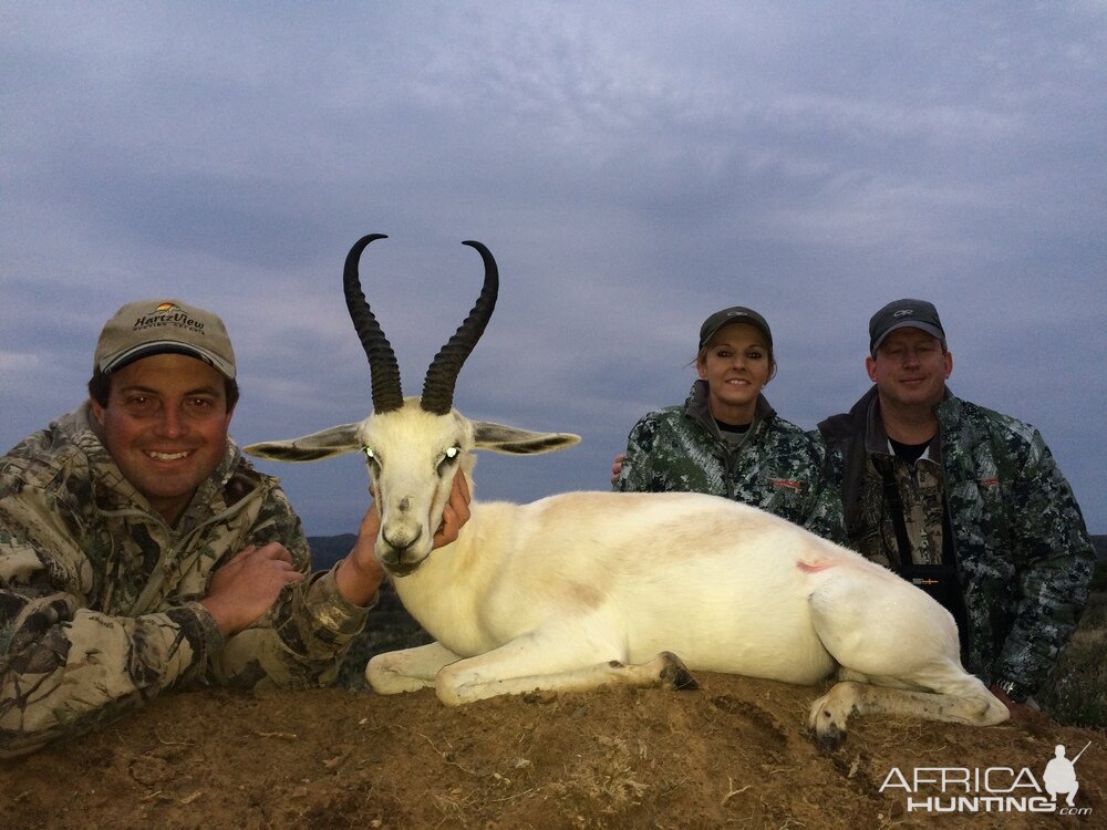 White Springbuck Hunt South Africa