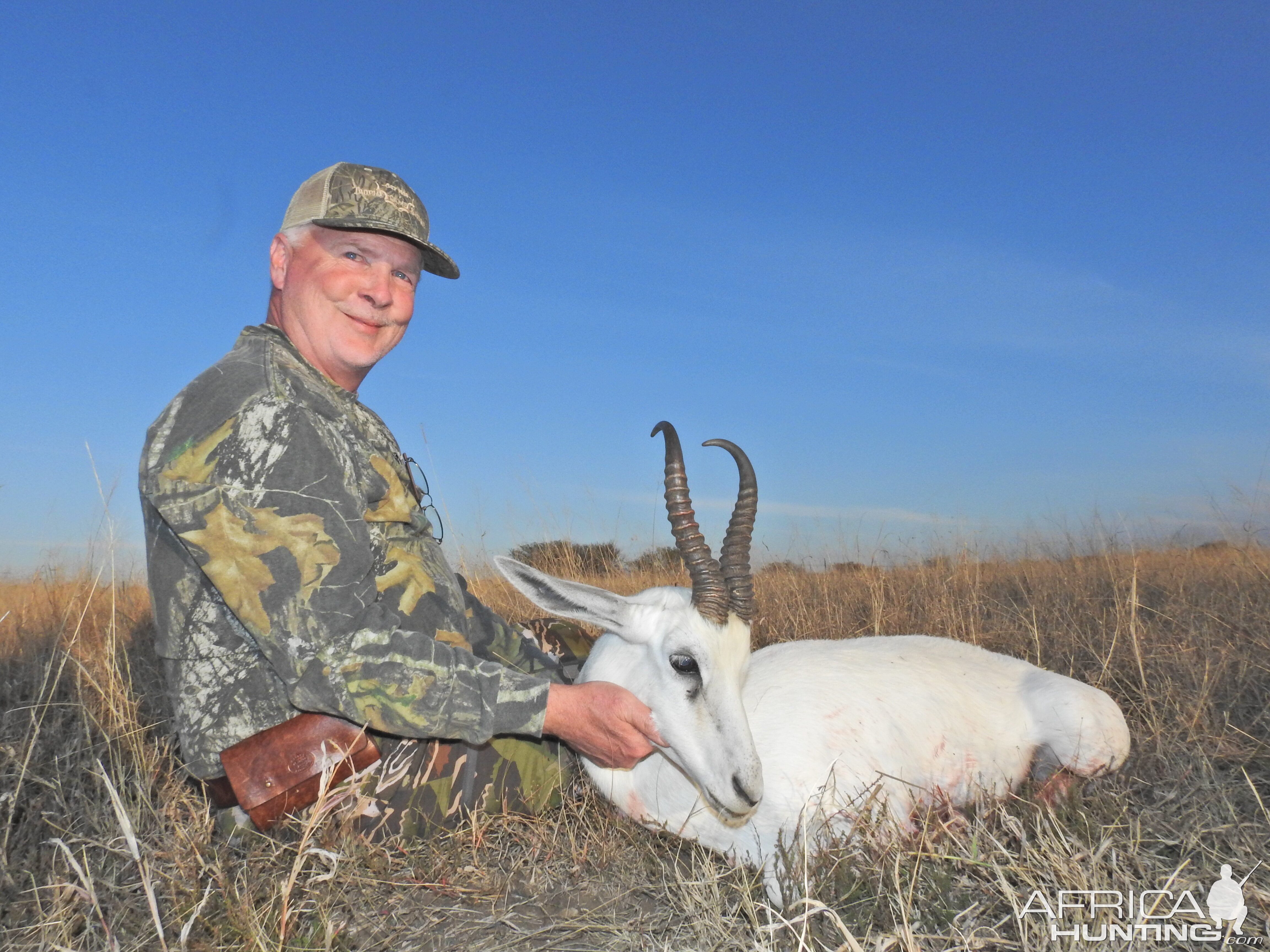 White Springbuck