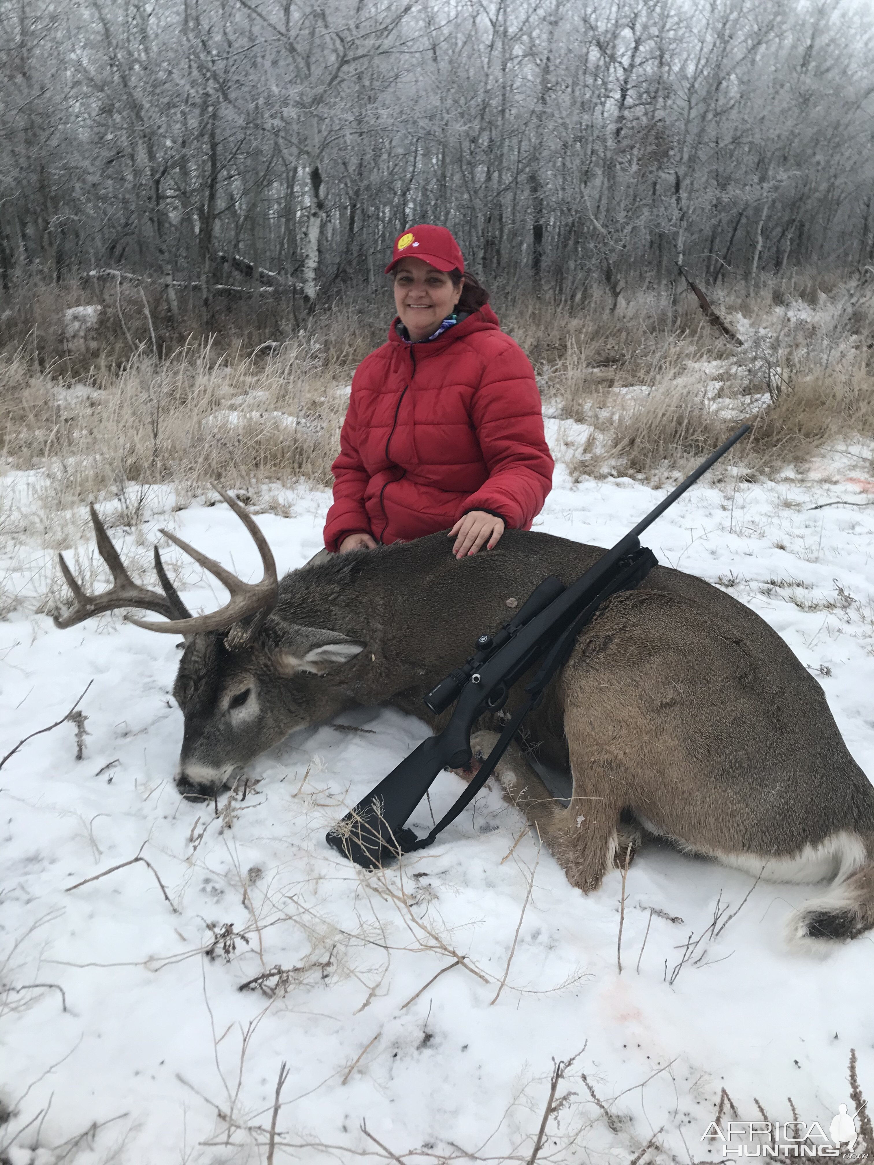 White-tailed Deer Hunt Canada