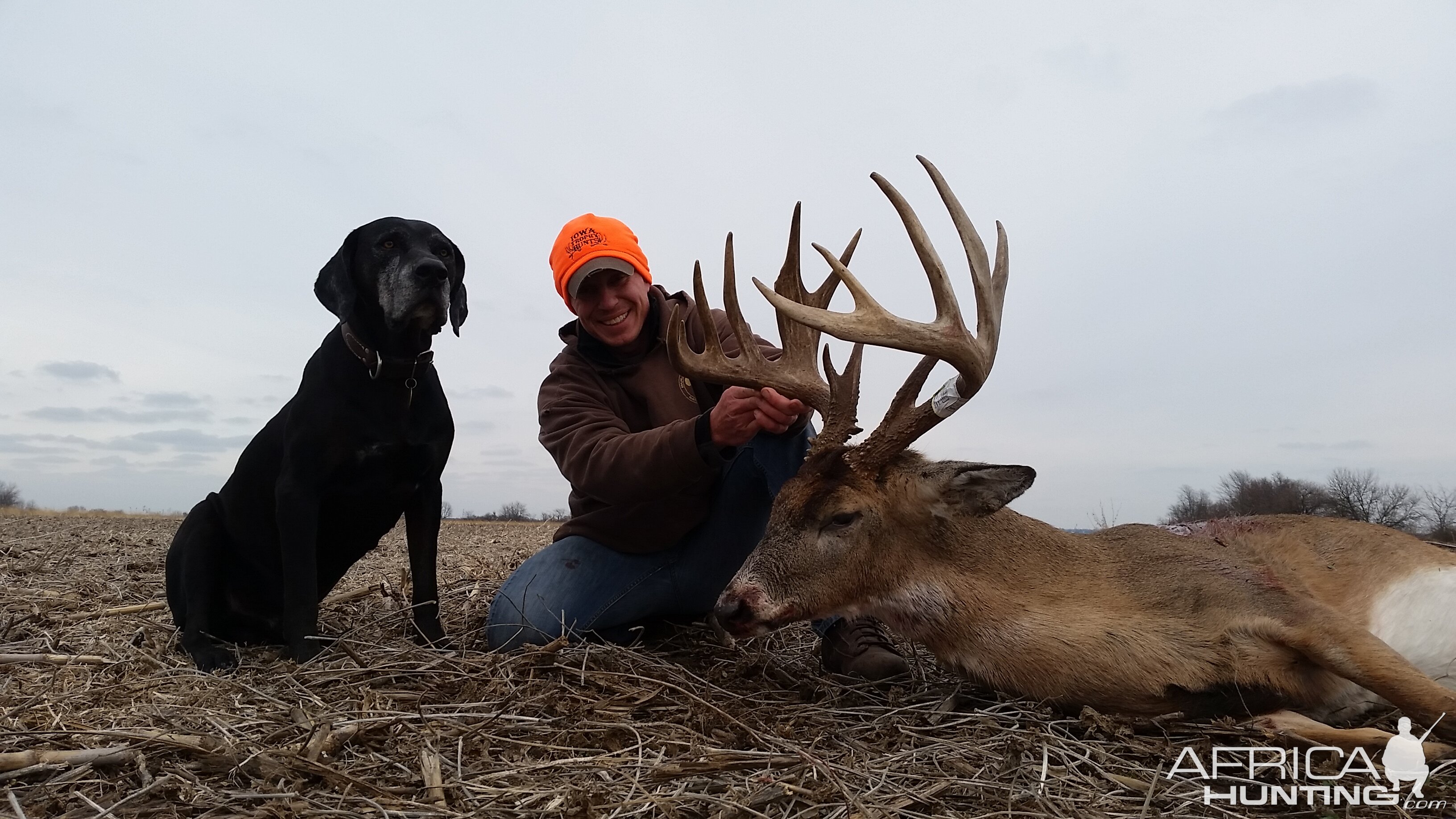 White-tailed Deer Hunt Missouri USA