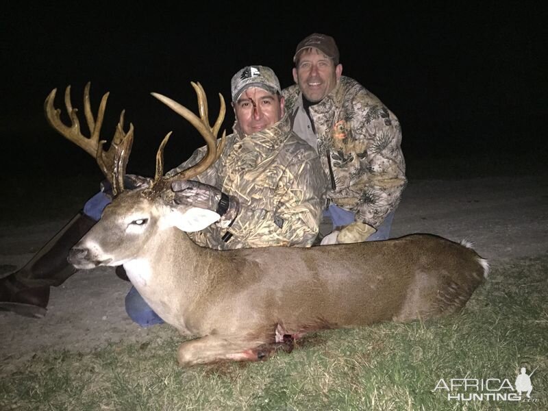 White-tailed Deer Hunt South Texas USA